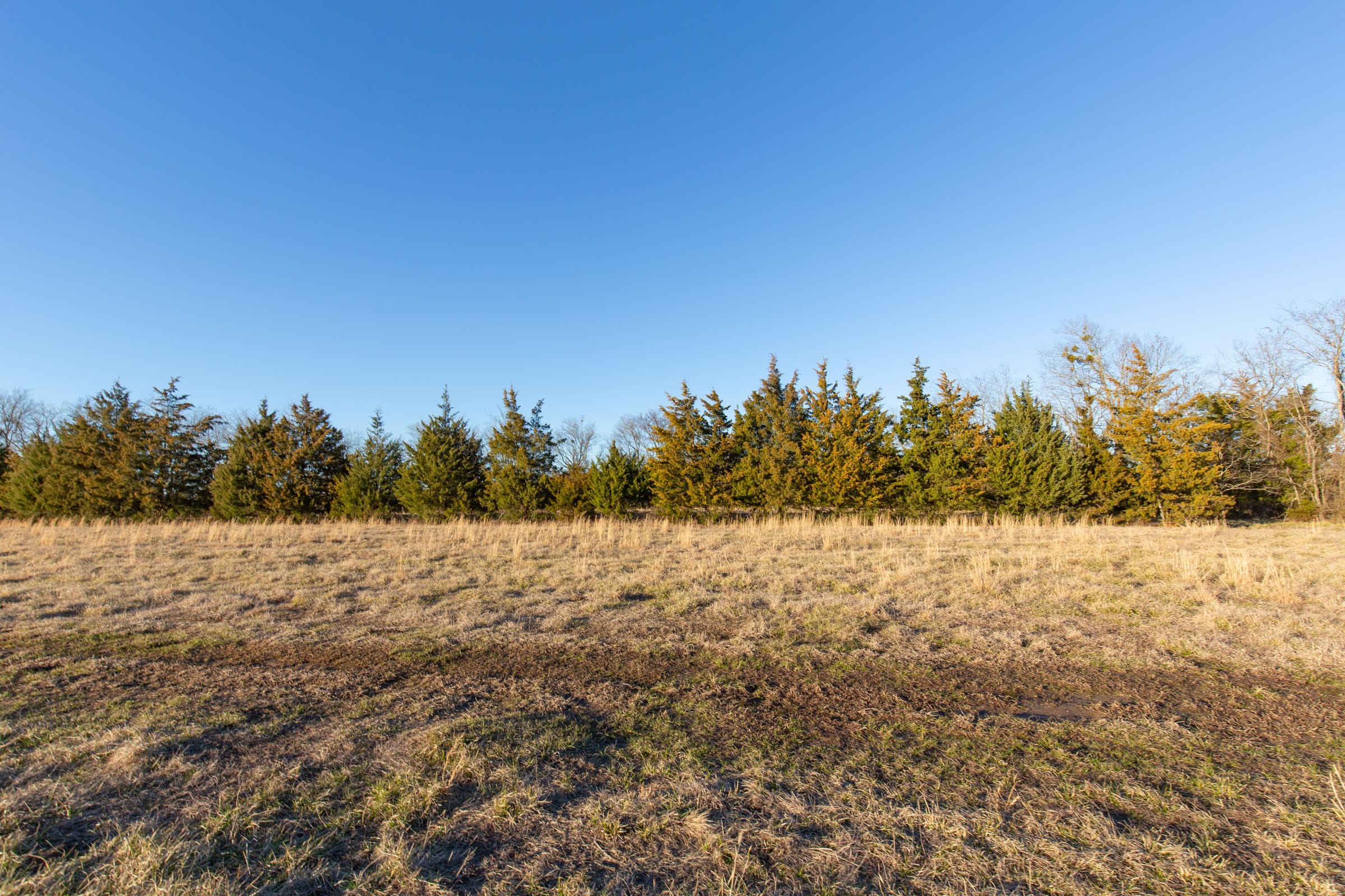 Wishing Star Ranch Tract 72 photo 5