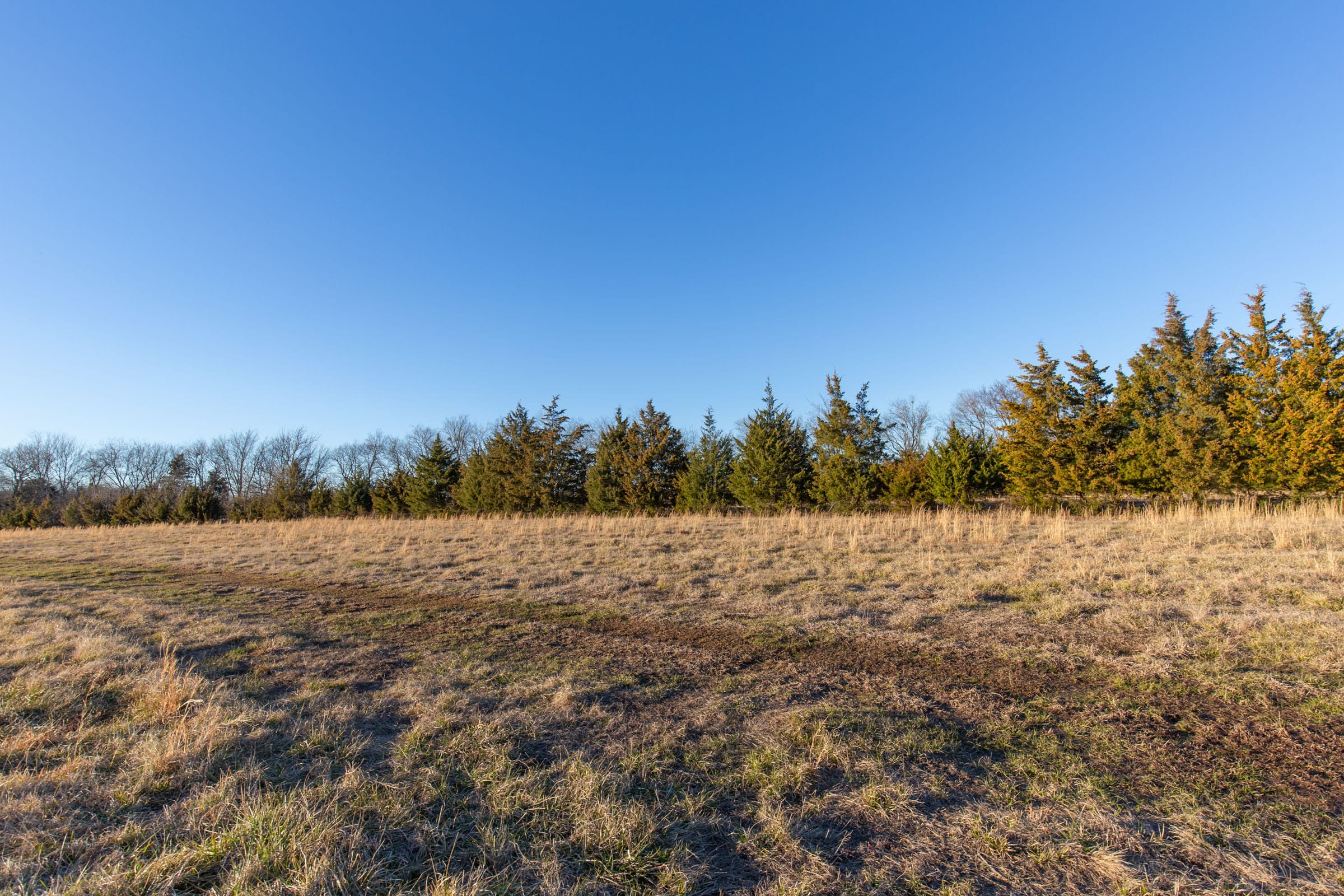 Wishing Star Ranch Tract 72 photo 7