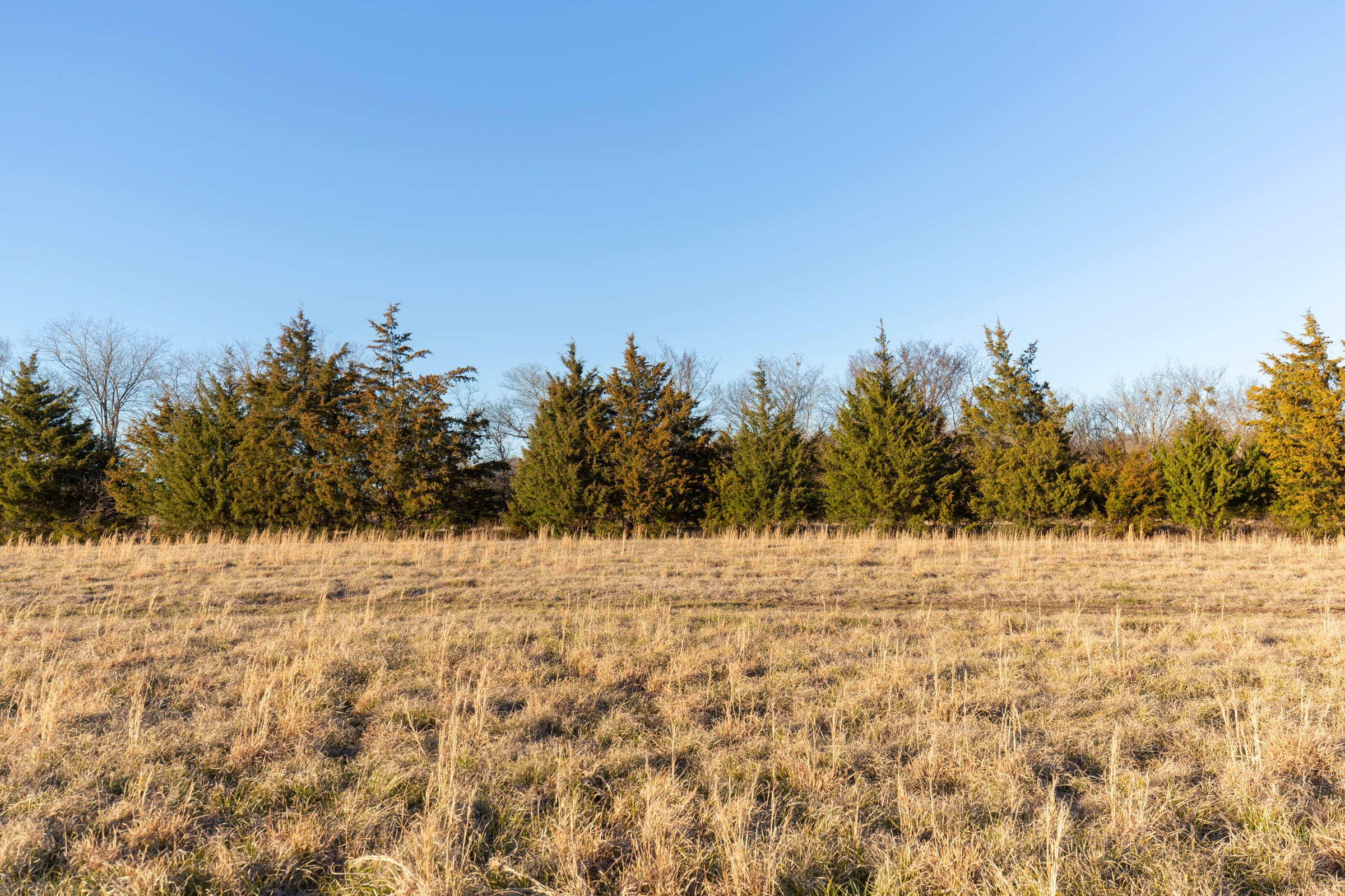 Wishing Star Ranch Tract 72 photo 8