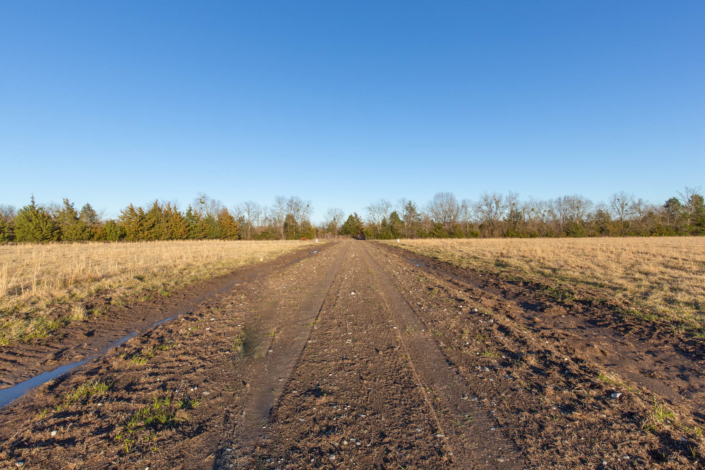 Wishing Star Ranch Tract 72 photo 10