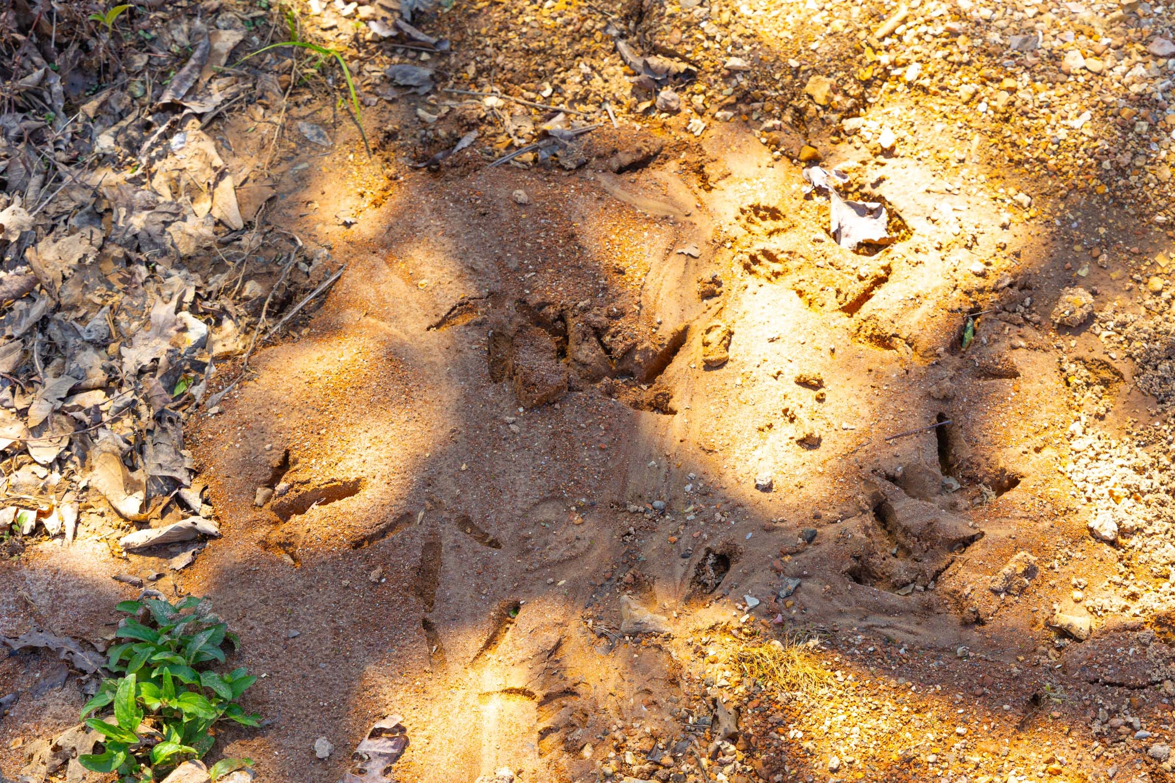 Lazybrook Tract 18 photo 11
