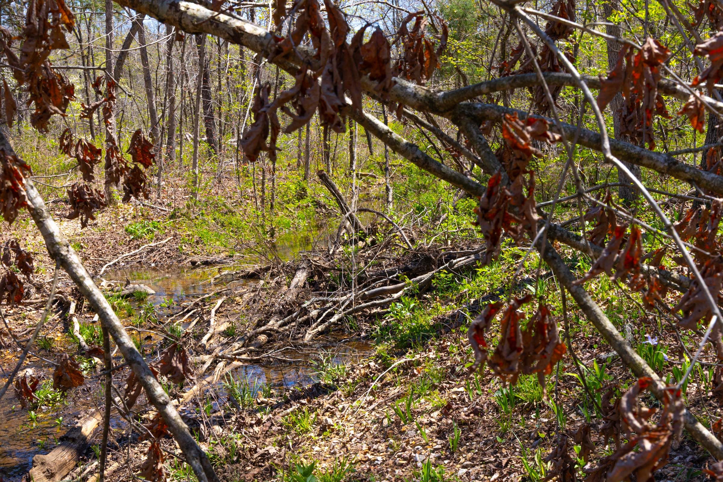Lazybrook Tract 18 photo 9
