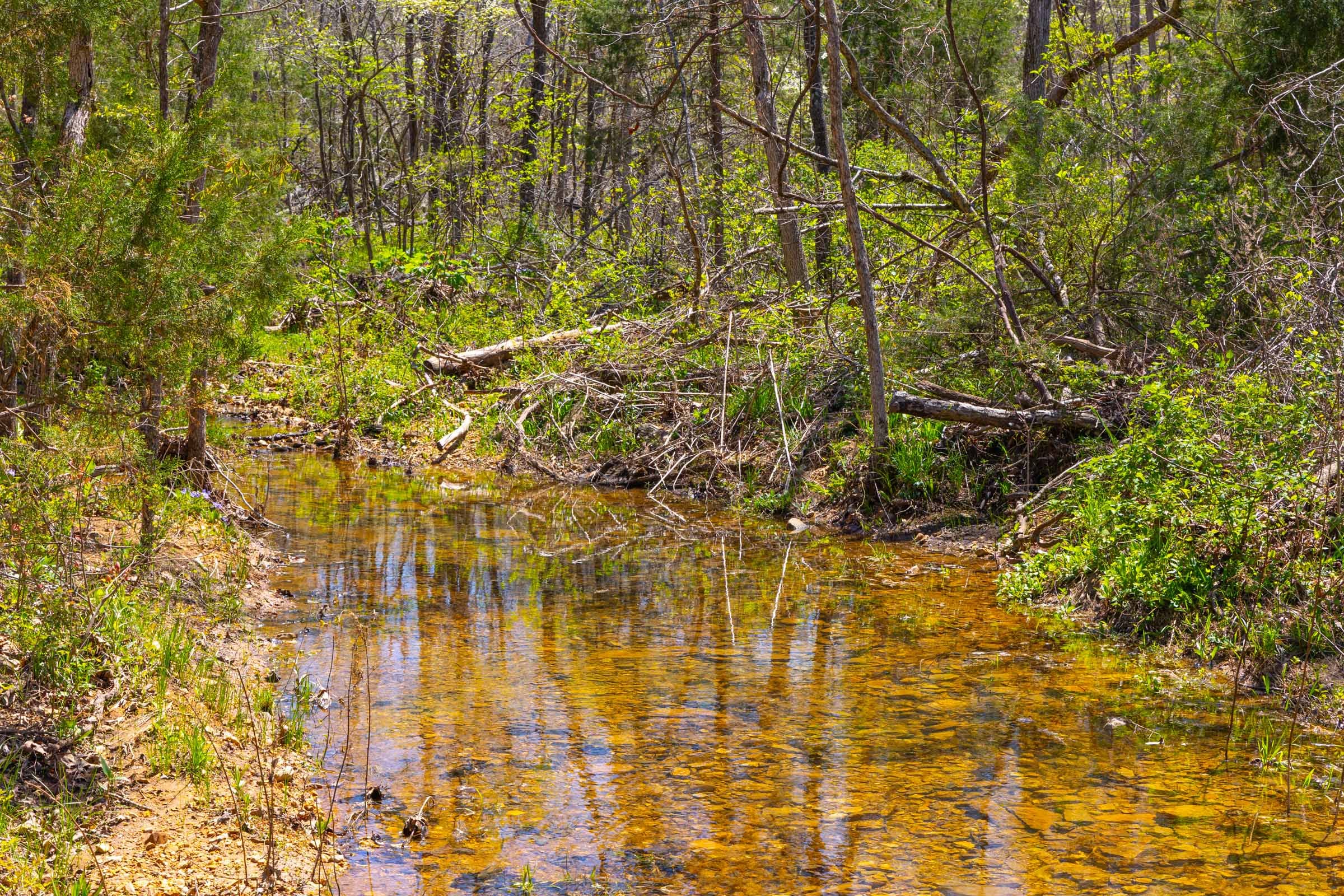 Lazybrook Tract 18 photo 4