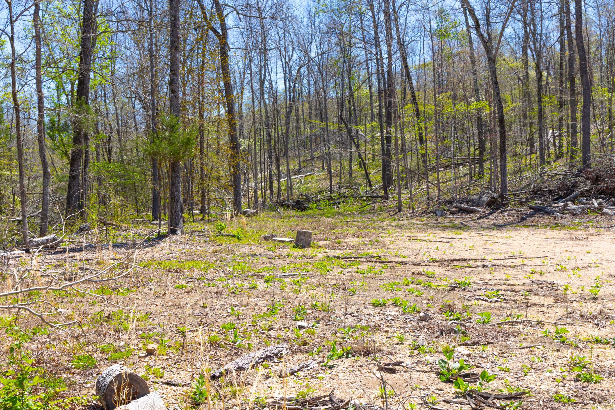 Lazybrook Tract 18 photo 5