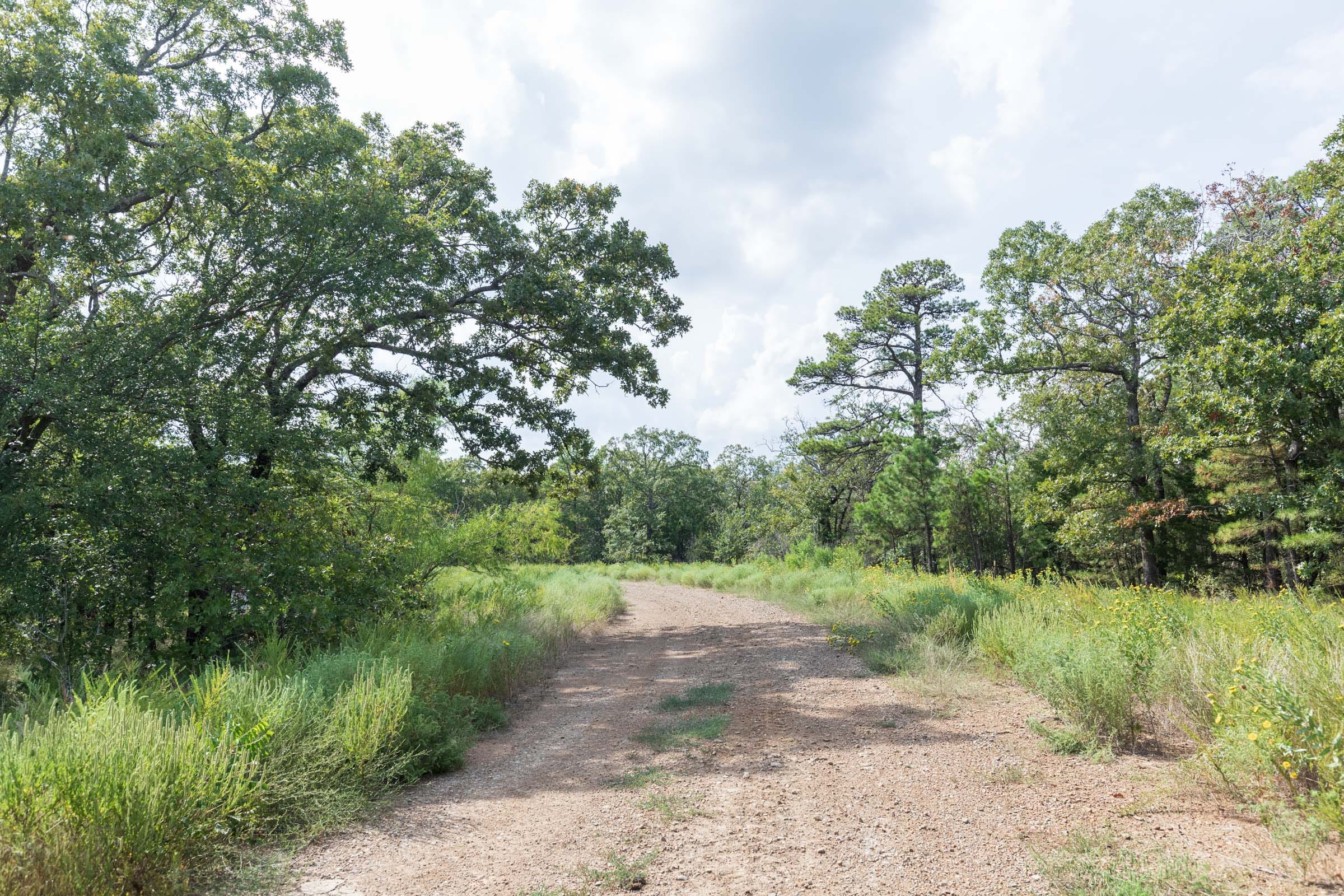 Stone Bridge Phase V Tract 344 photo 1