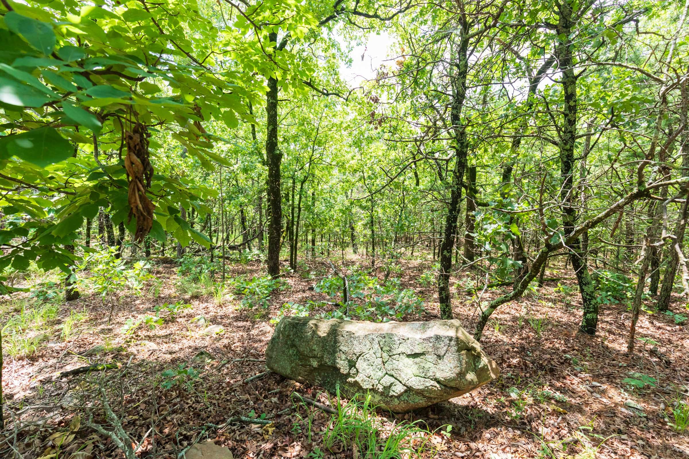 Stone Bridge Phase VI Tract 431 photo 3