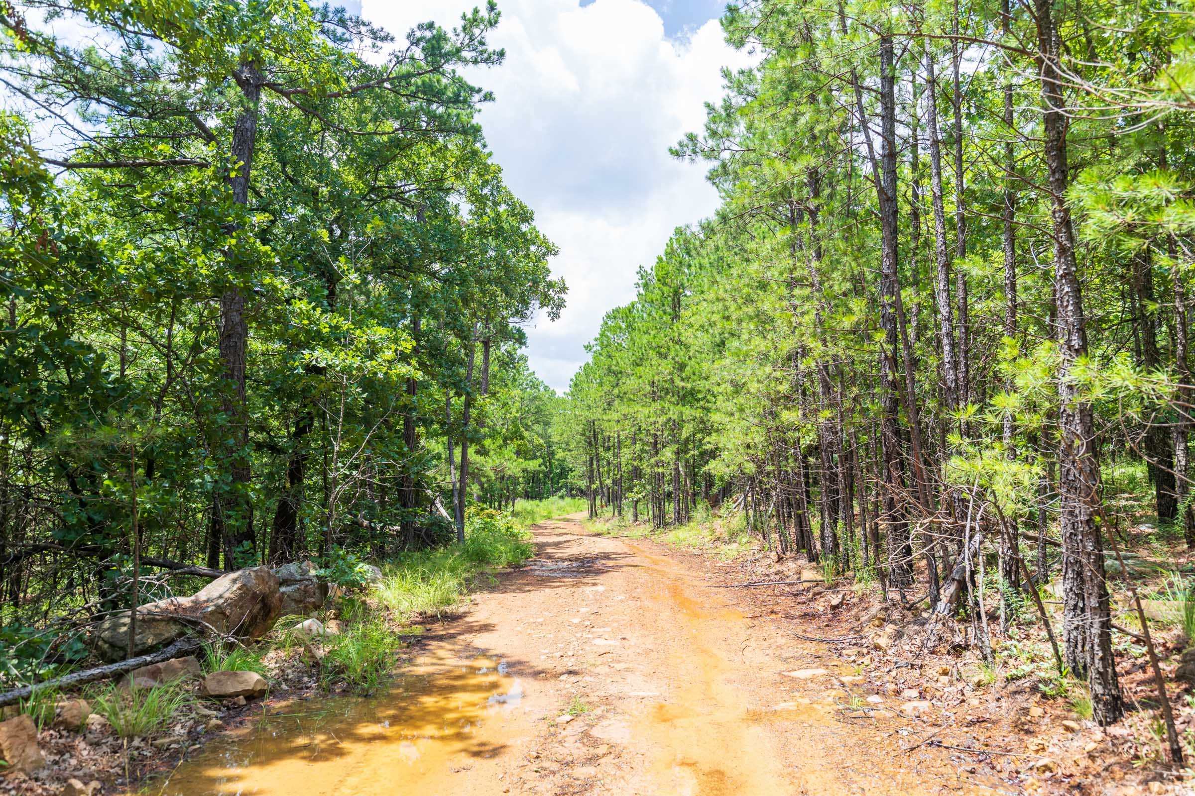 Stone Bridge Phase VI Tract 431 photo 5