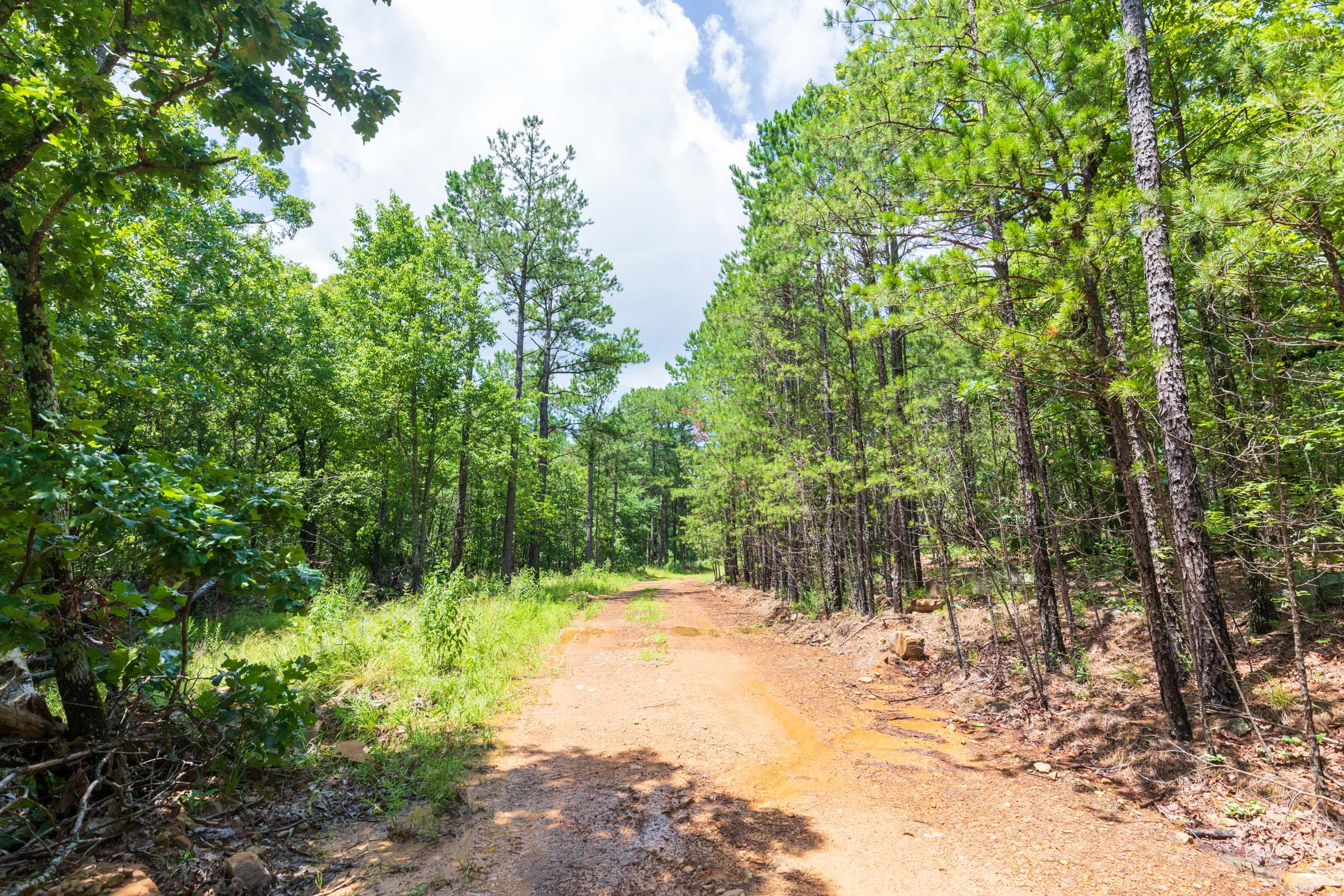 Stone Bridge Phase VI Tract 431 photo 11