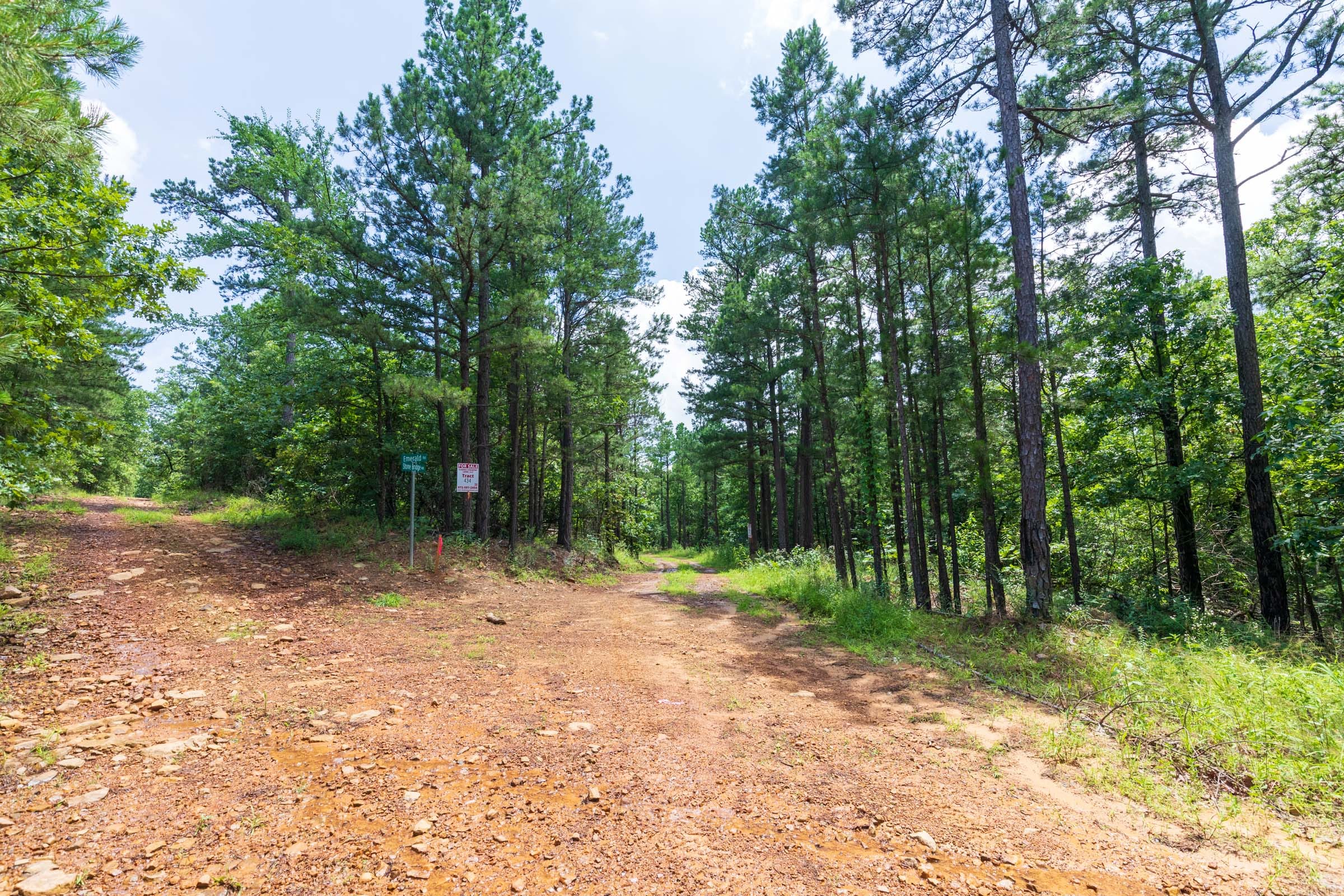 Stone Bridge Phase VI Tract 431 photo 8