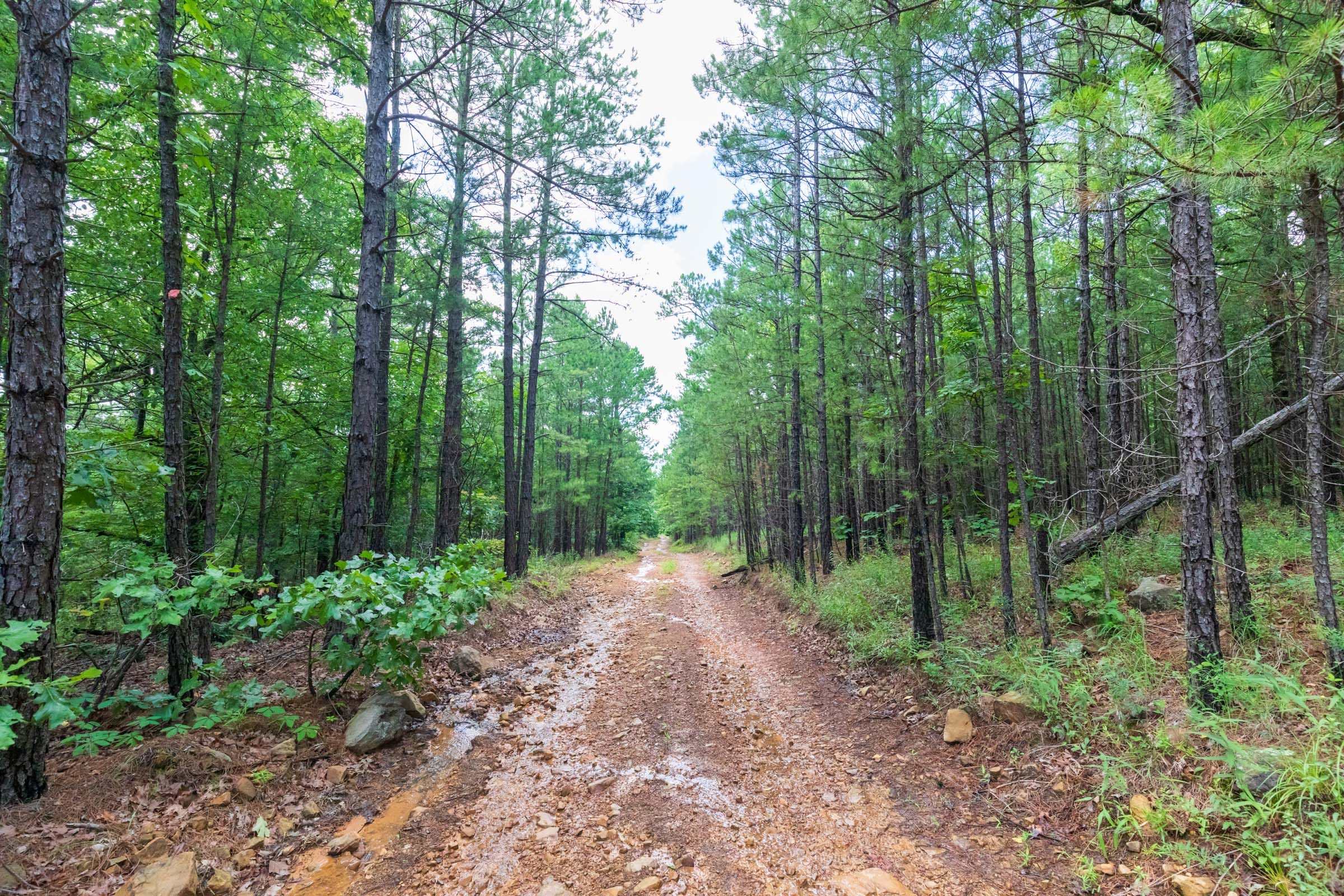 Stone Bridge Phase VI Tract 431 photo 1