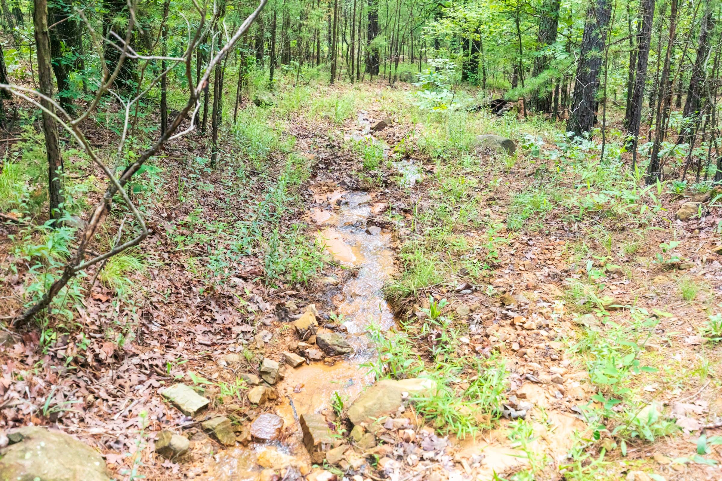Stone Bridge Phase VI Tract 431 photo 2