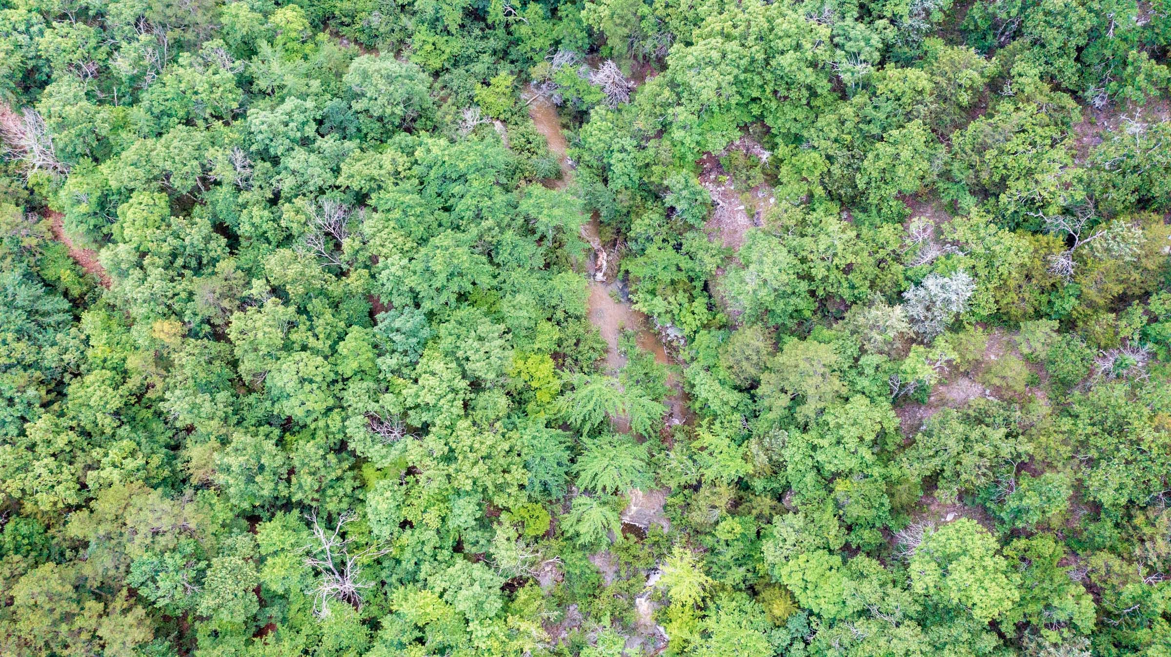 Stone Bridge Phase VI Tract 431 photo 12