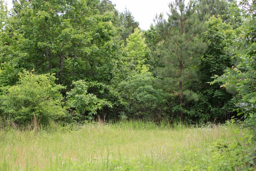 Bluebird Ranch Tract 23 photo 1