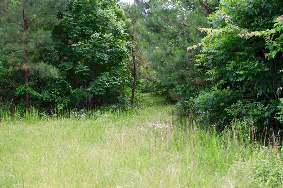 Bluebird Ranch Tract 23 photo 2