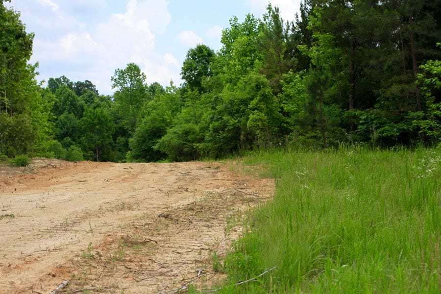 Bluebird Ranch Tract 23 photo 3