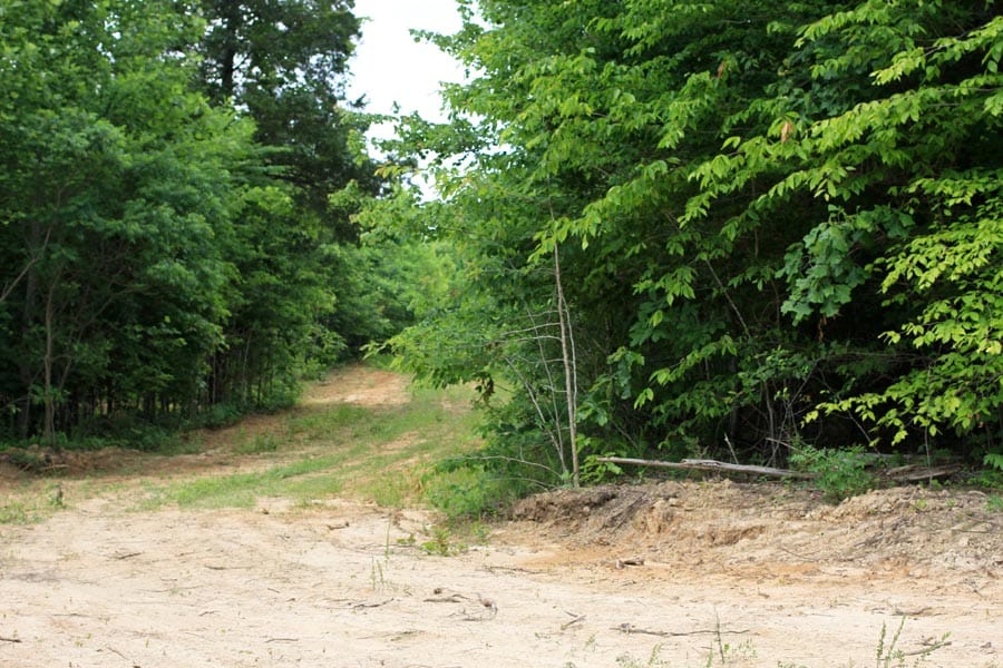 Bluebird Ranch Tract 23 photo 4