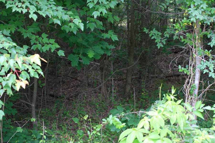 Bluebird Ranch Tract 23 photo 9
