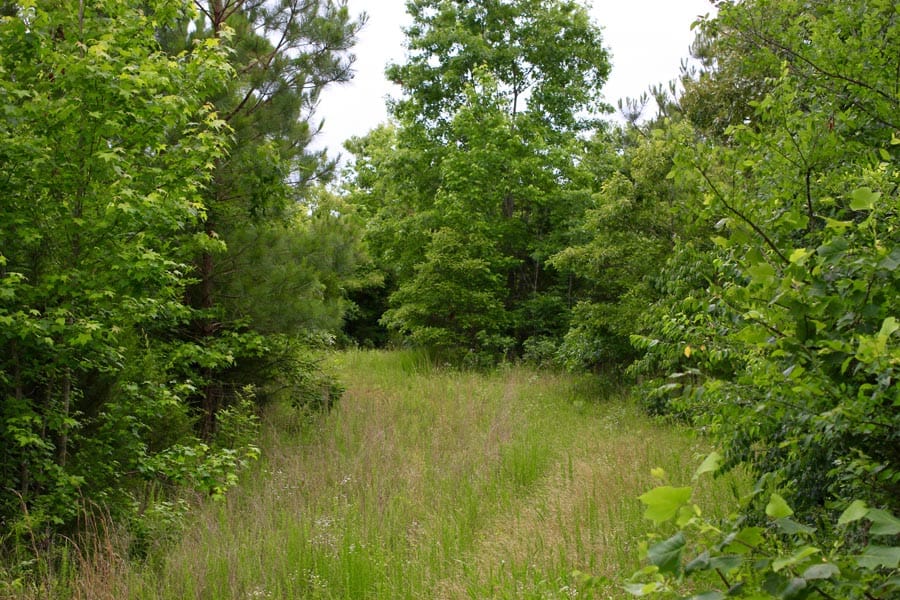 Bluebird Ranch Tract 23 photo 10