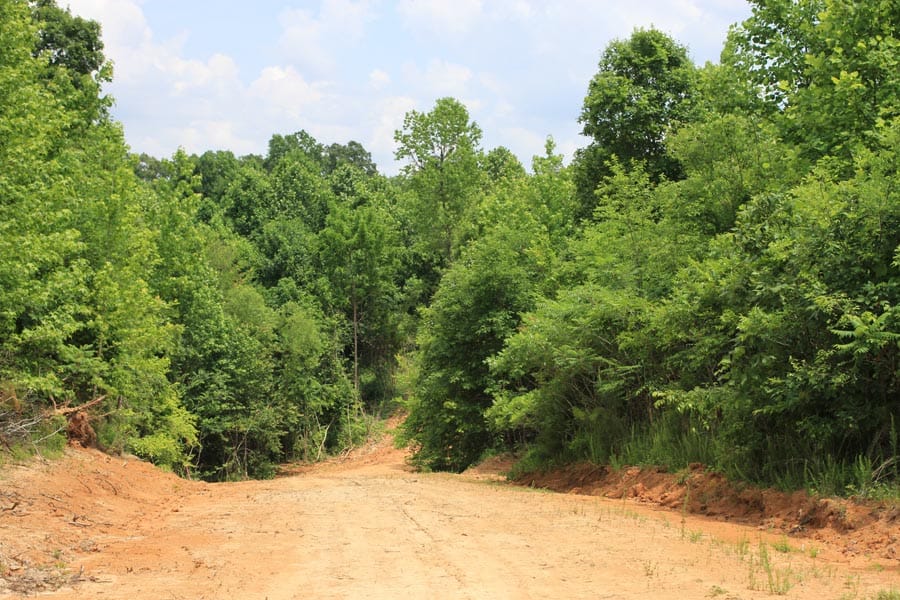 Bluebird Ranch Tract 23 photo 25