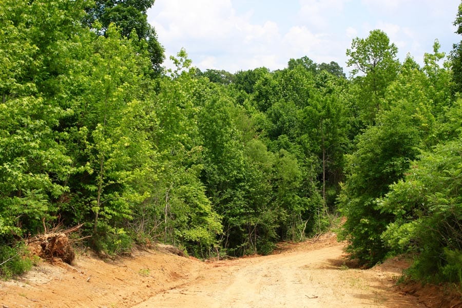 Bluebird Ranch Tract 23 photo 26
