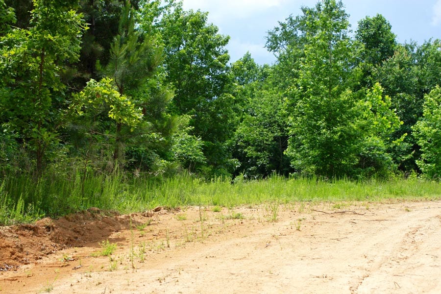 Bluebird Ranch Tract 23 photo 28