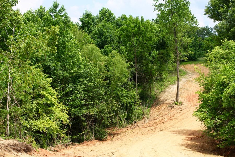Bluebird Ranch Tract 23 photo 29