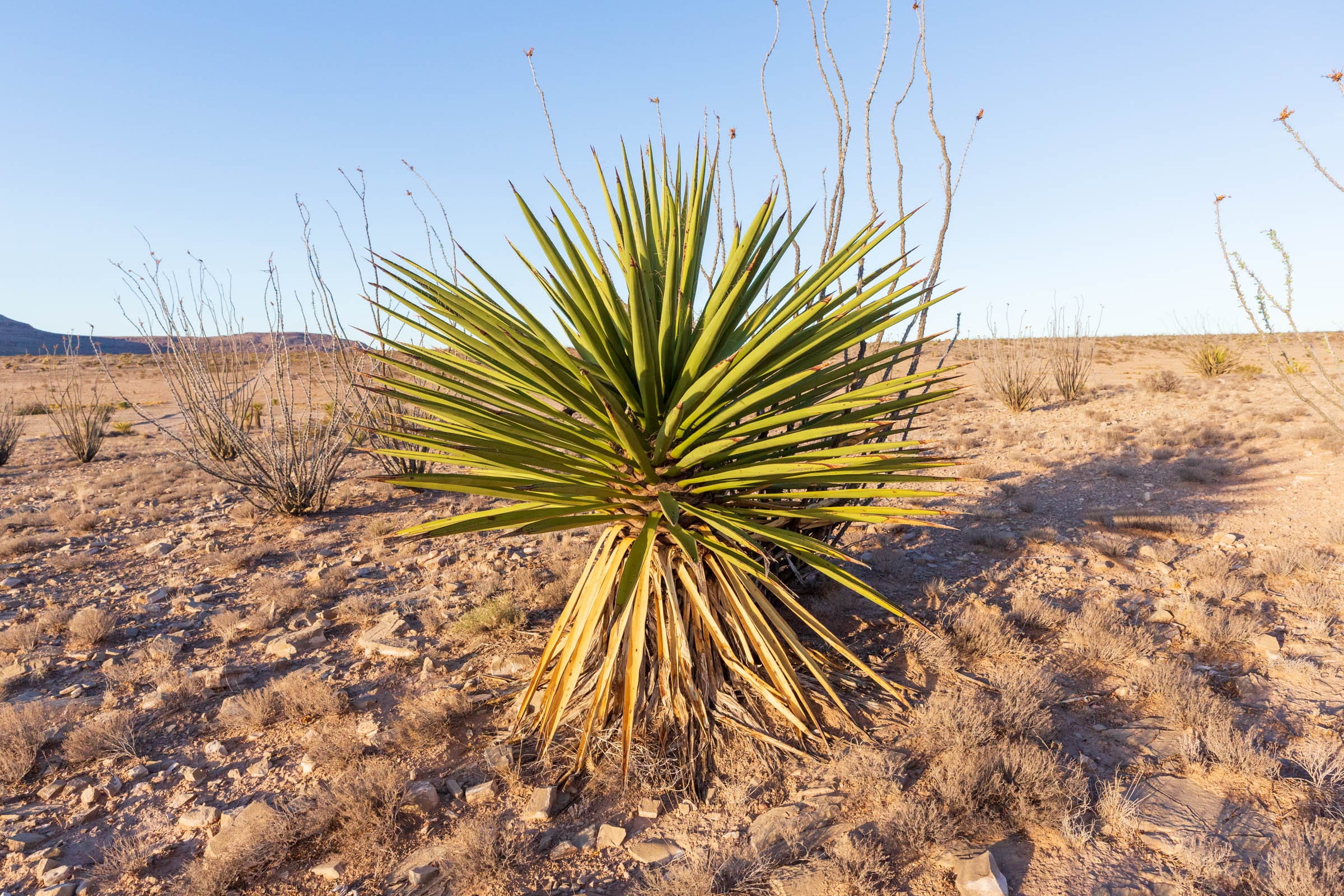 Sunrise Ranches Phase III Tract 113 photo 17