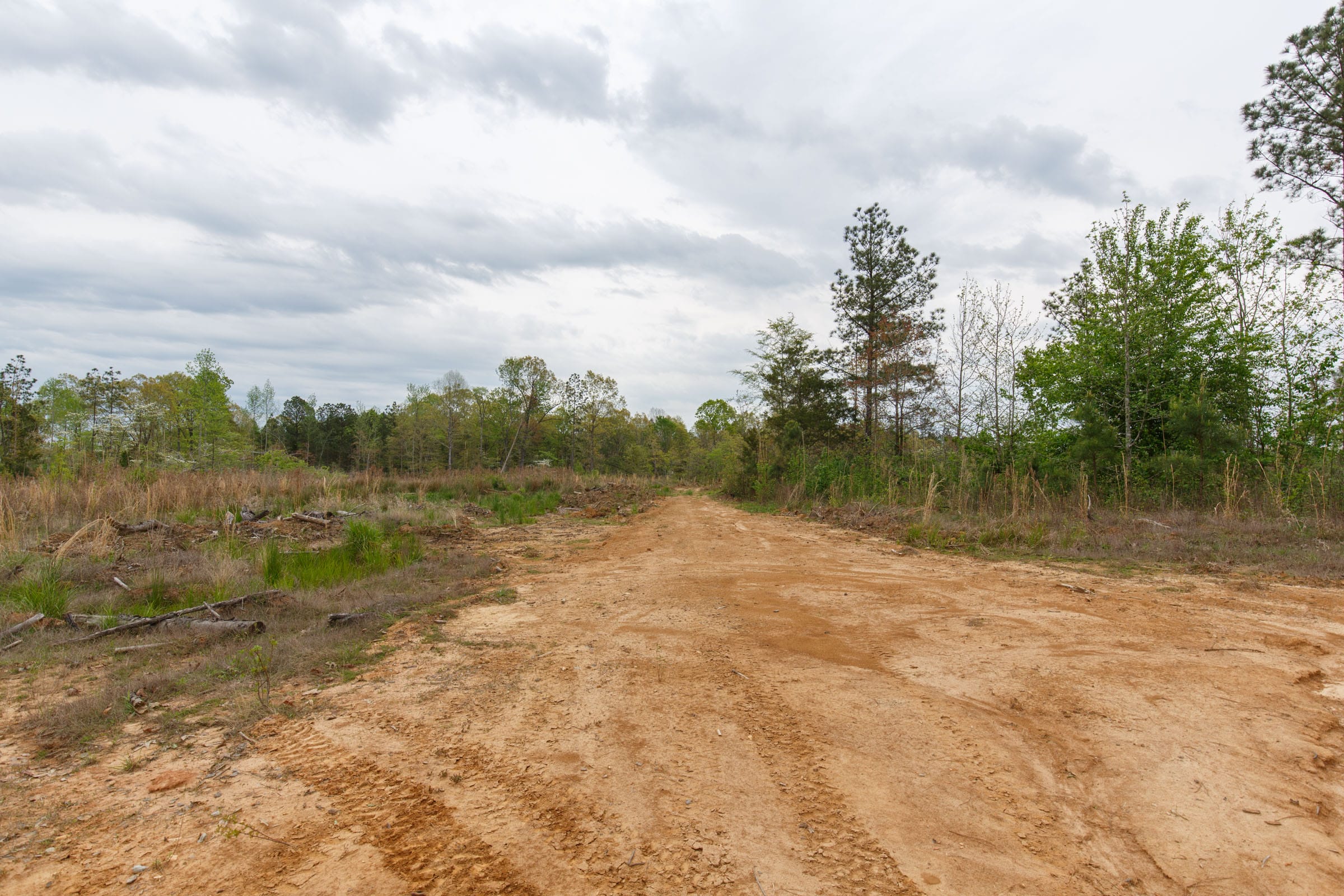 Twin Rivers Tract 36 photo 5