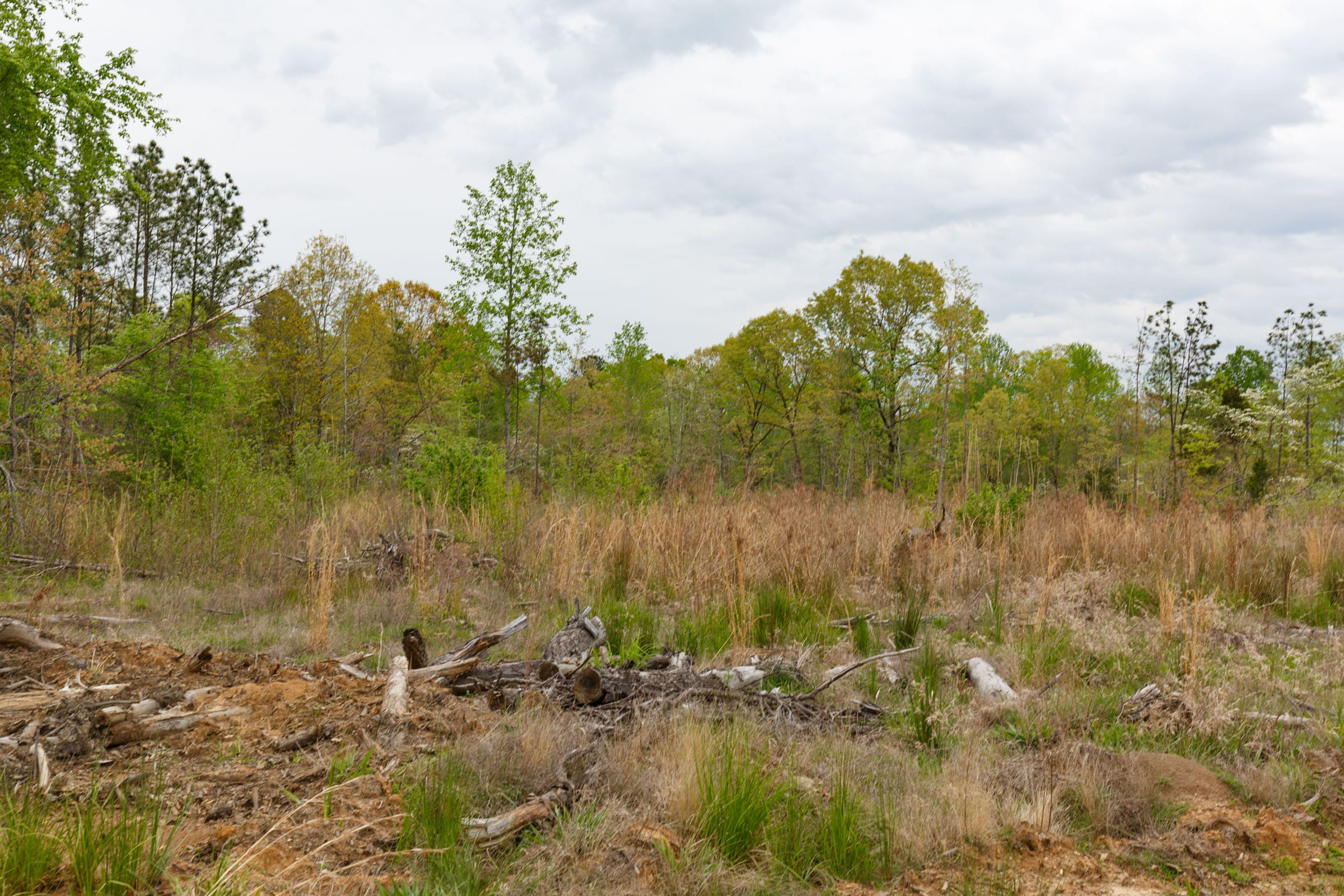 Twin Rivers Tract 36 photo 3