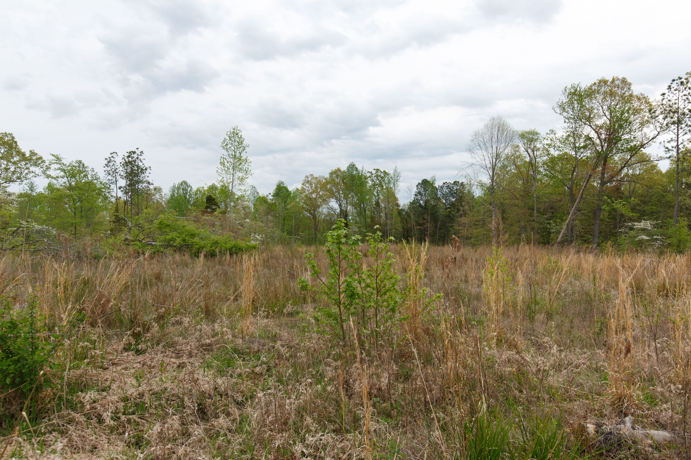 Twin Rivers Tract 36 photo 4