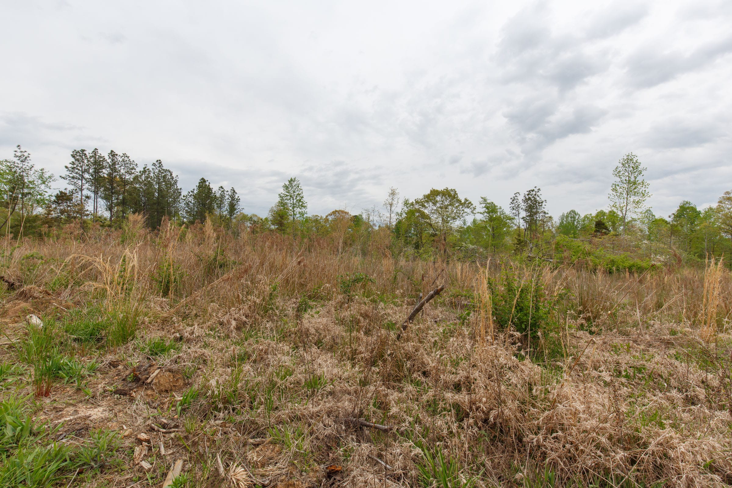 Twin Rivers Tract 36 photo 6