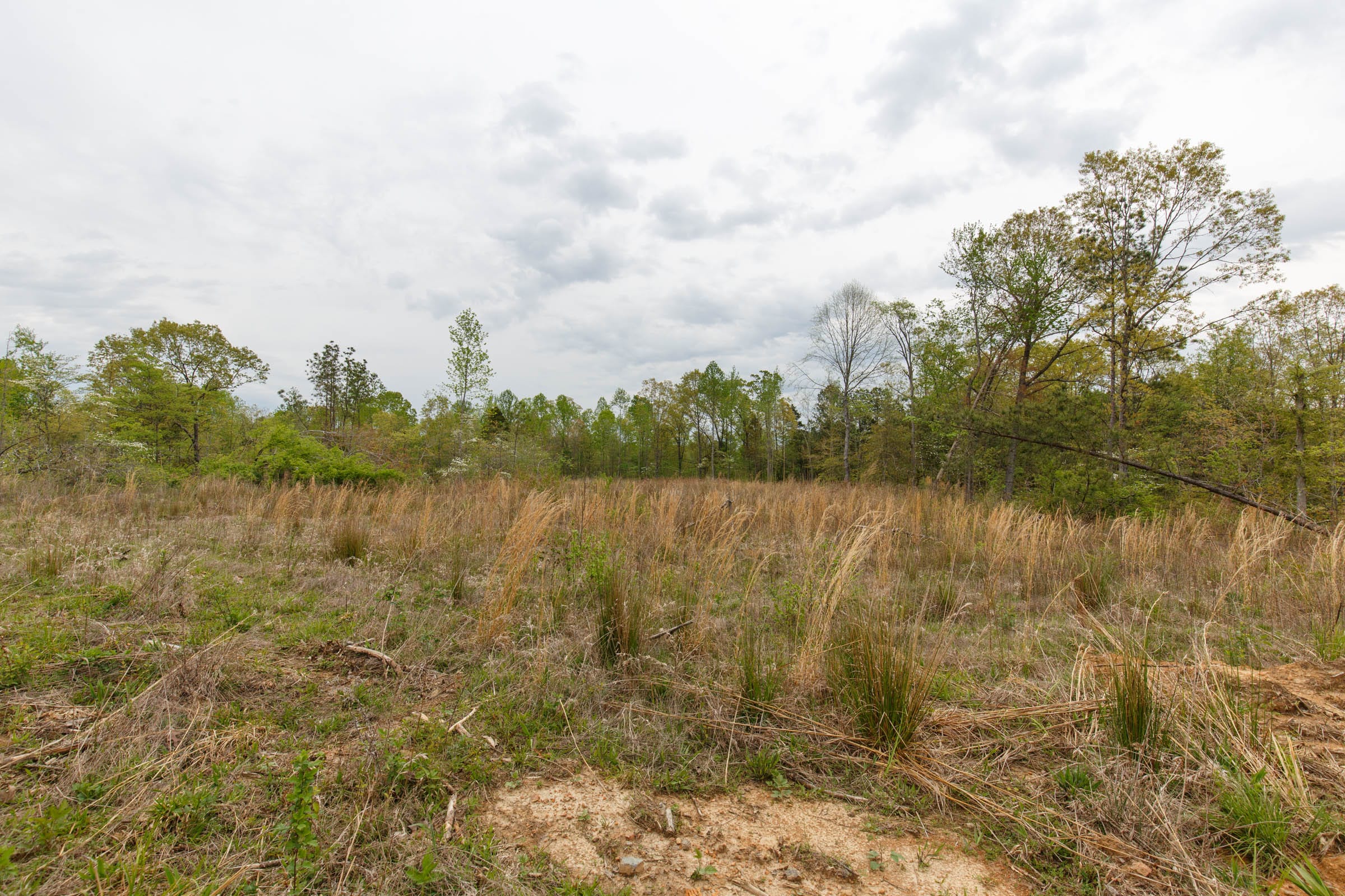 Twin Rivers Tract 36 photo 7