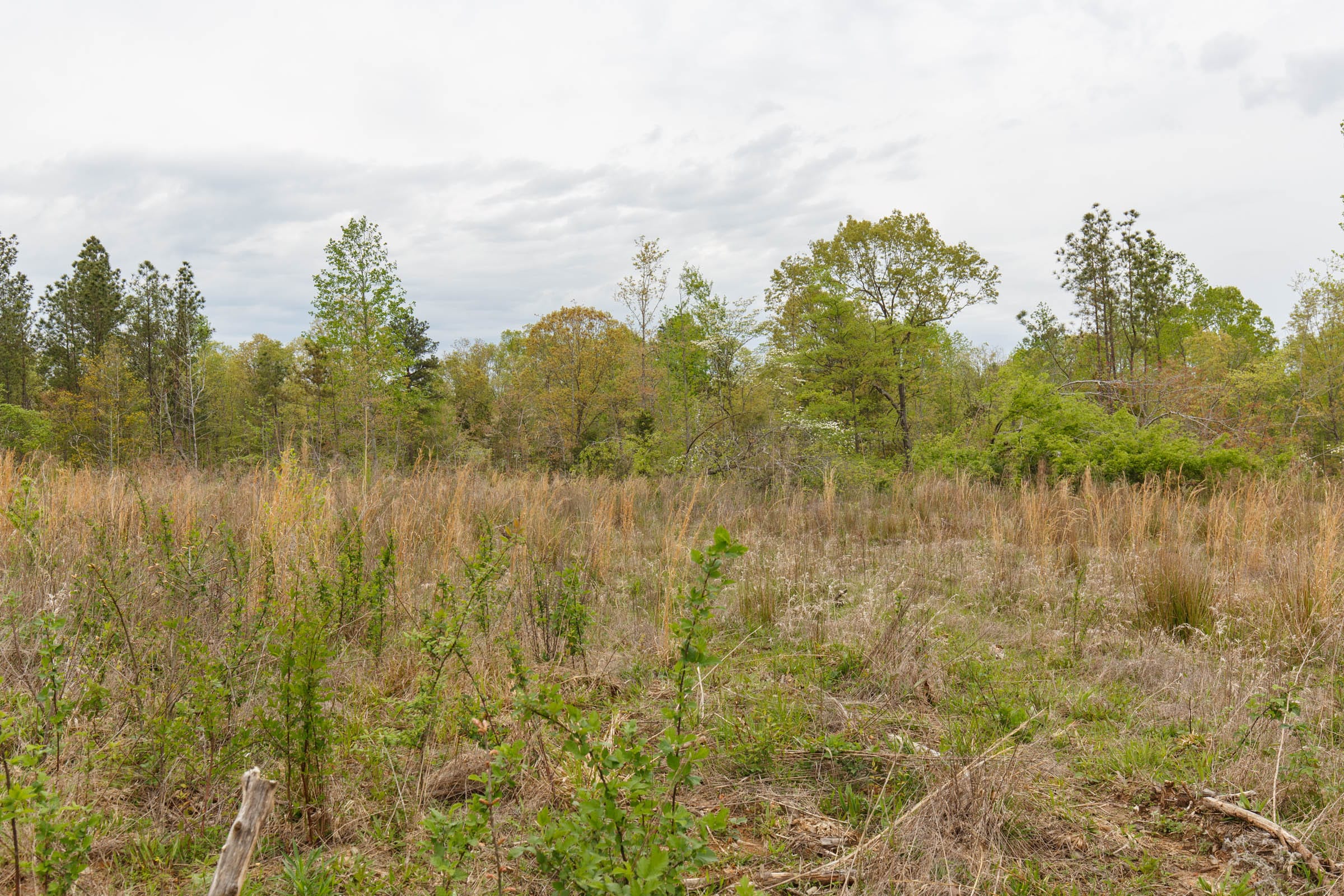 Twin Rivers Tract 36 photo 9