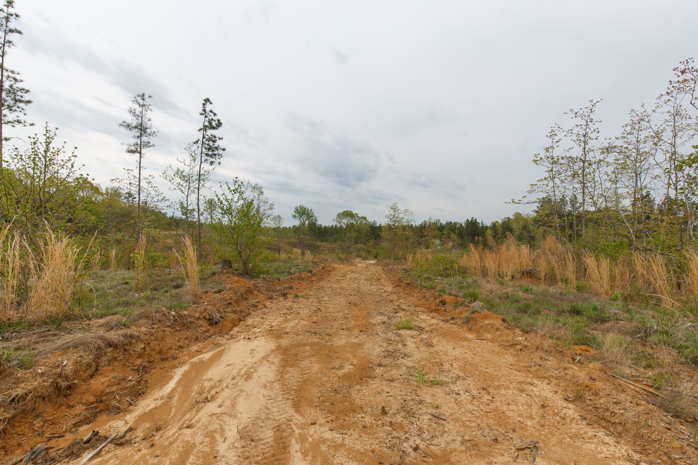 Twin Rivers Tract 36 photo 2