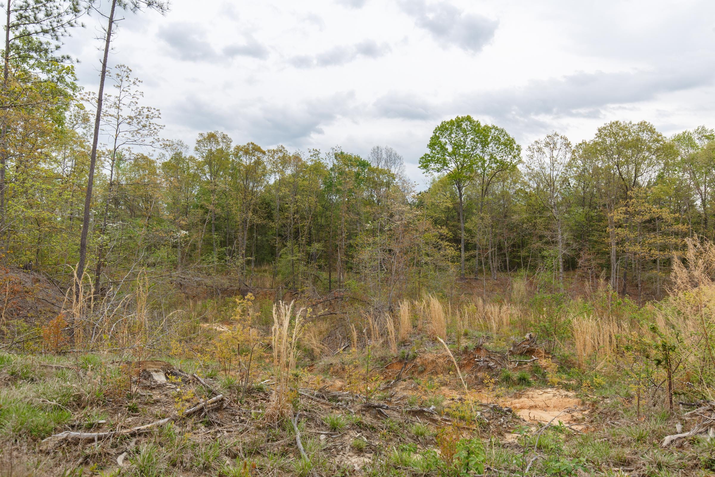 Twin Rivers Tract 36 photo 10