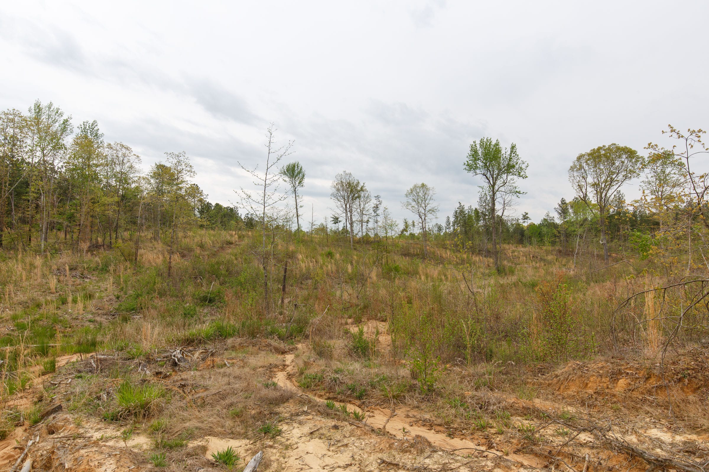 Twin Rivers Tract 36 photo 11