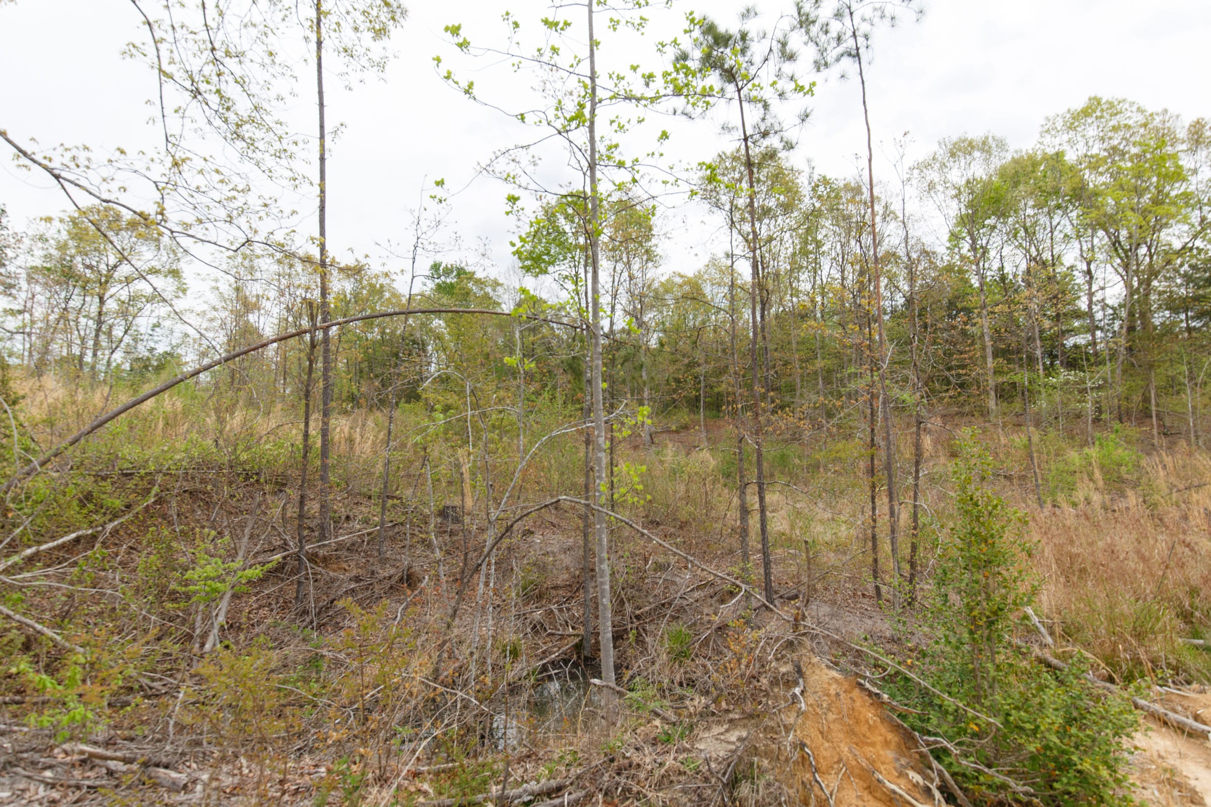 Twin Rivers Tract 36 photo 13