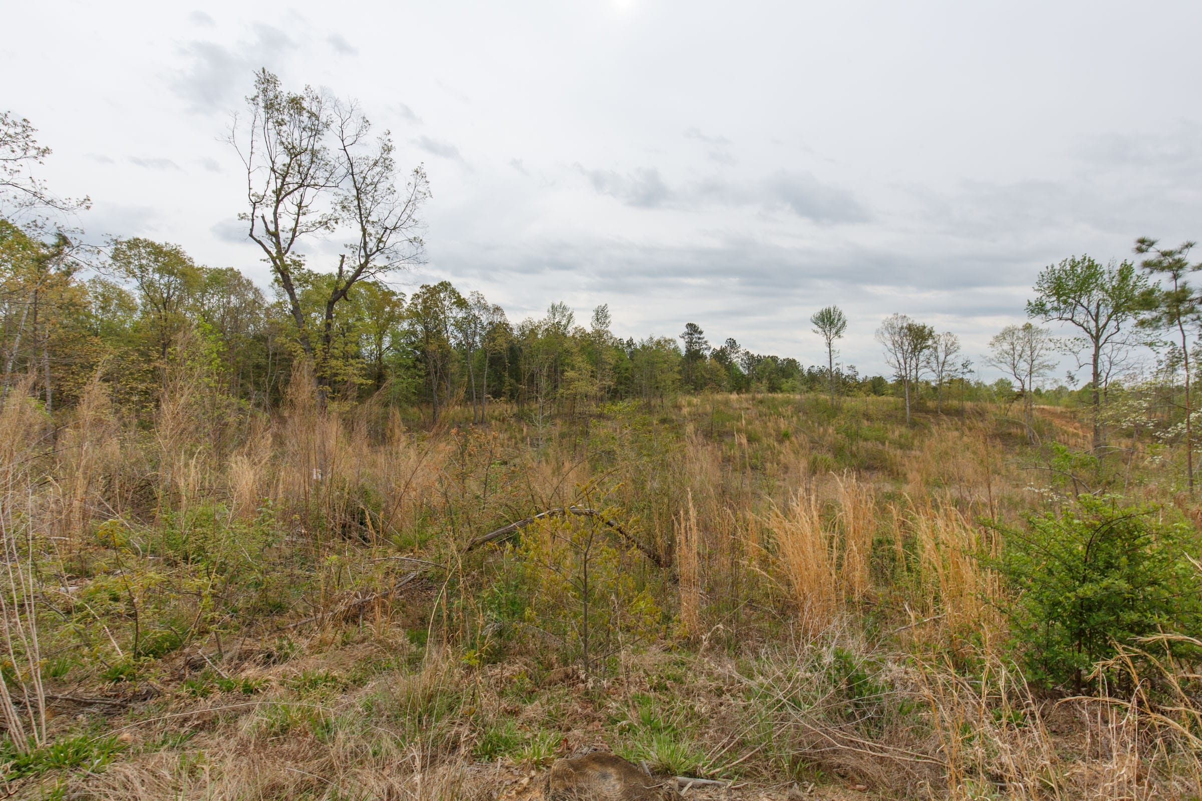 Twin Rivers Tract 36 photo 14