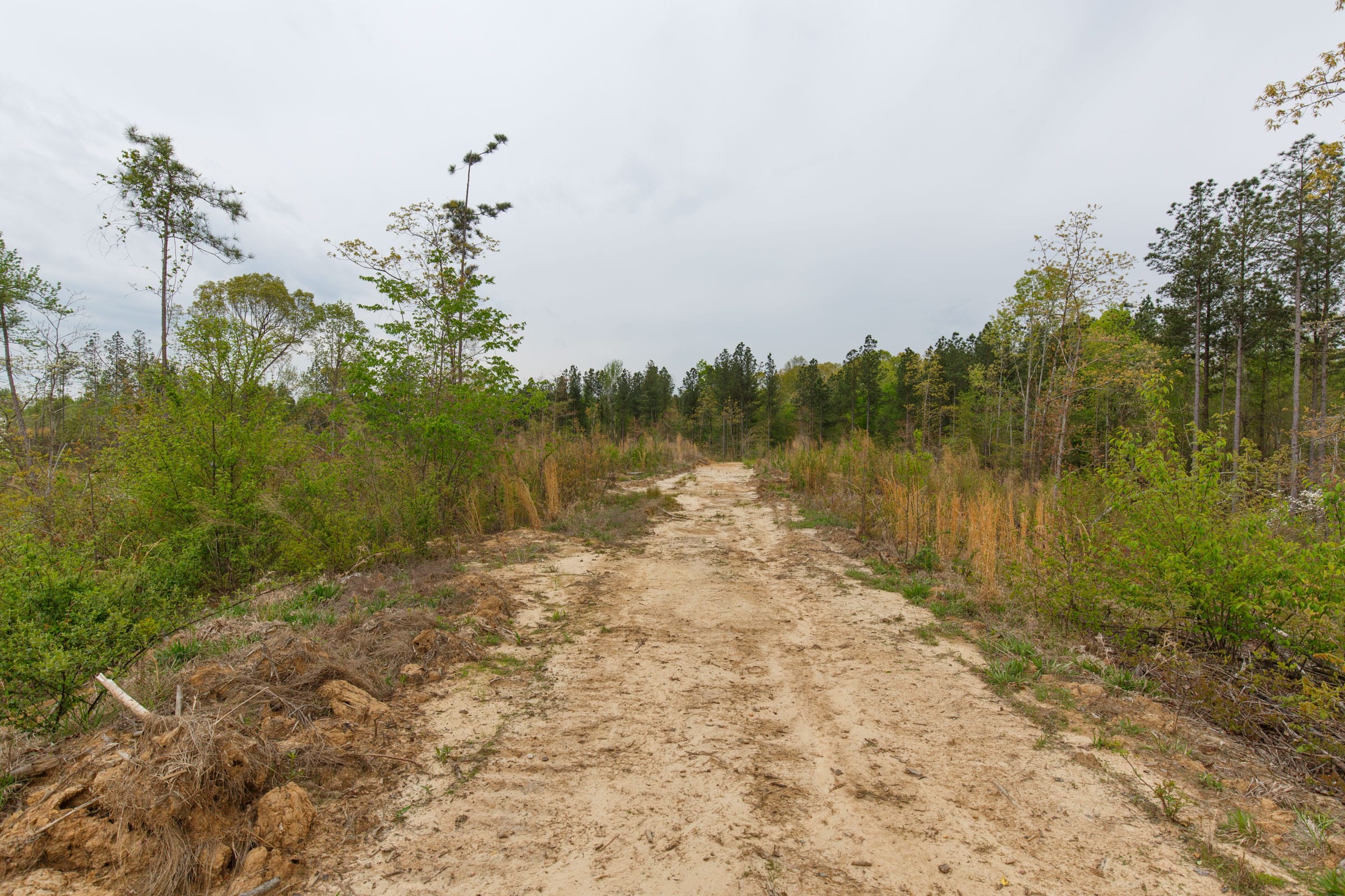 Twin Rivers Tract 36 photo 8
