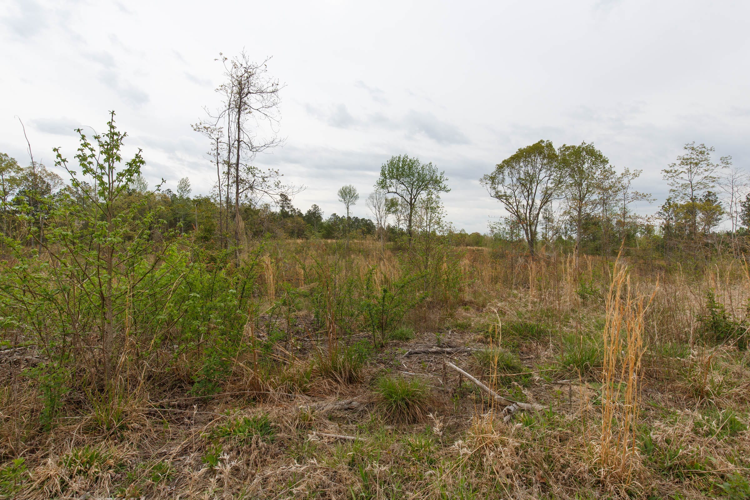 Twin Rivers Tract 36 photo 15