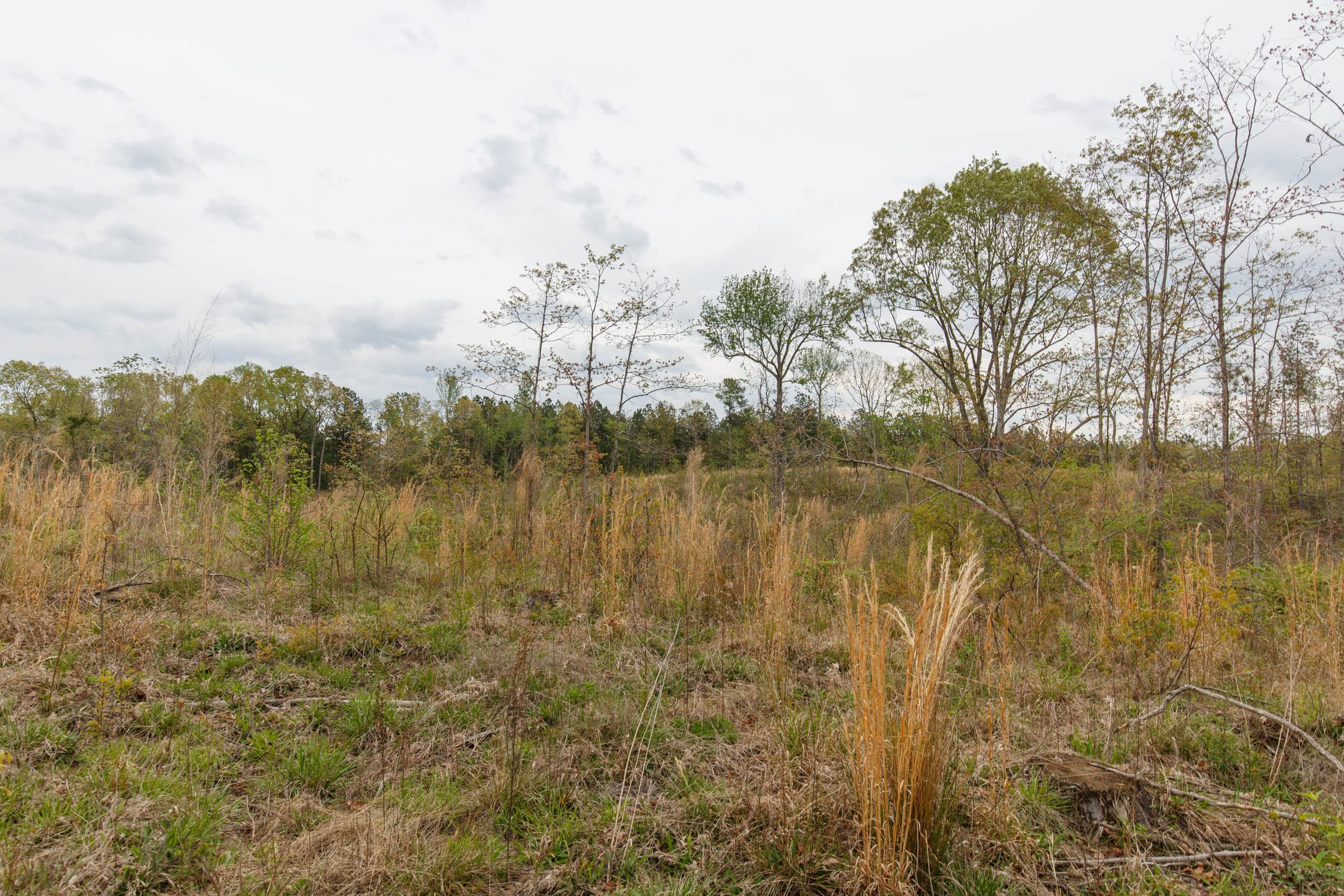 Twin Rivers Tract 36 photo 16