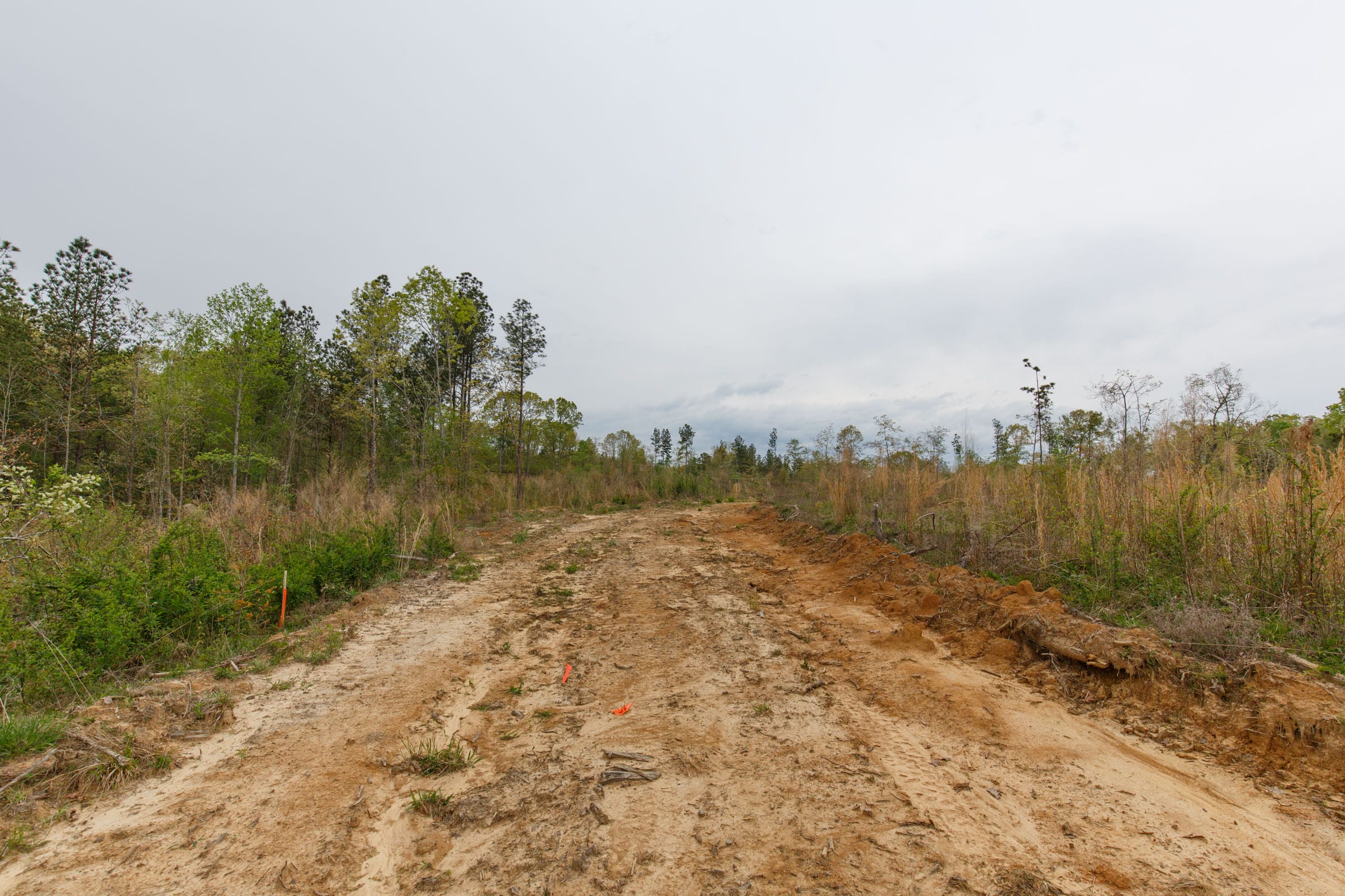 Twin Rivers Tract 36 photo 12