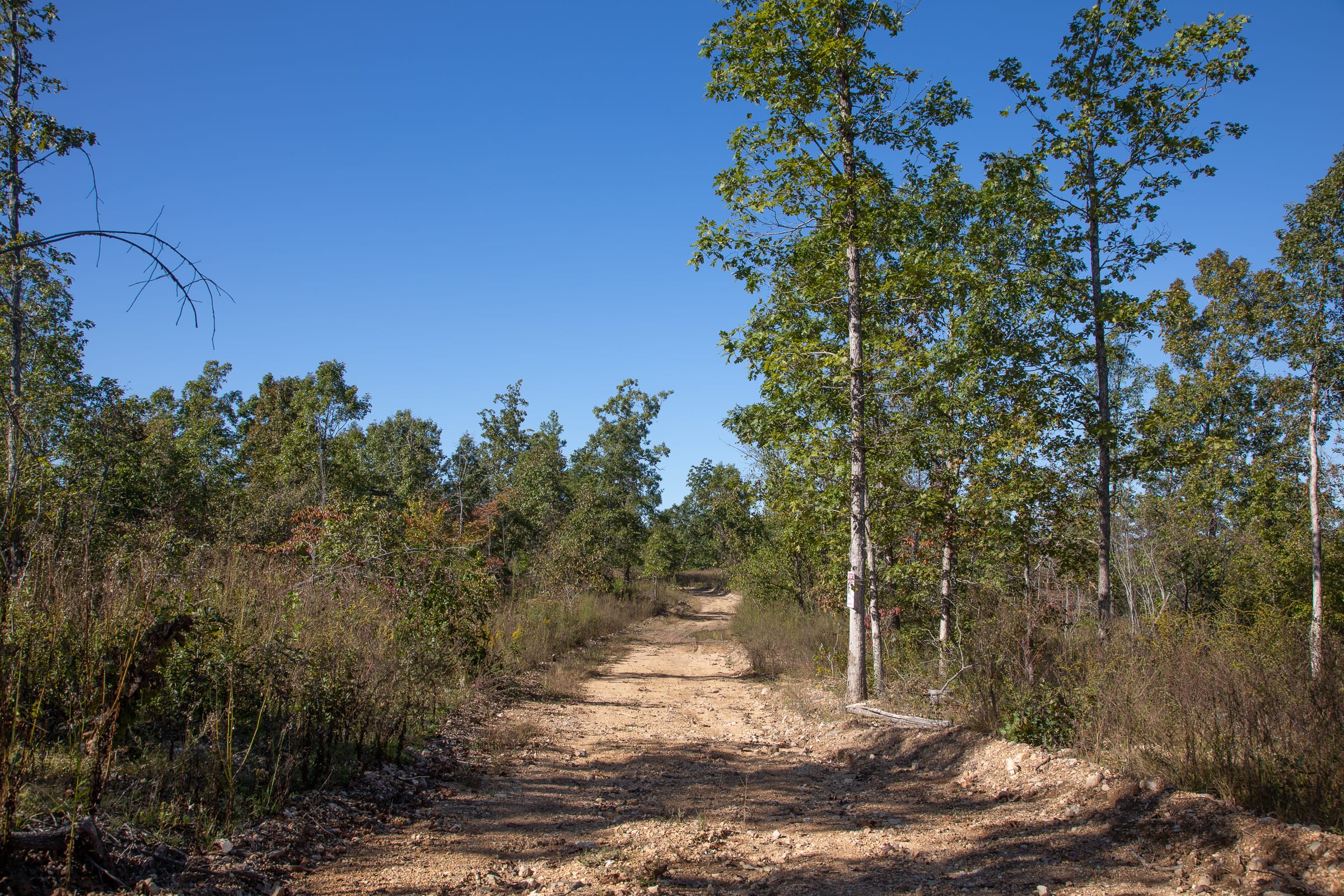 Borgmann’s Hollow Phase IV Tract 111 photo 1