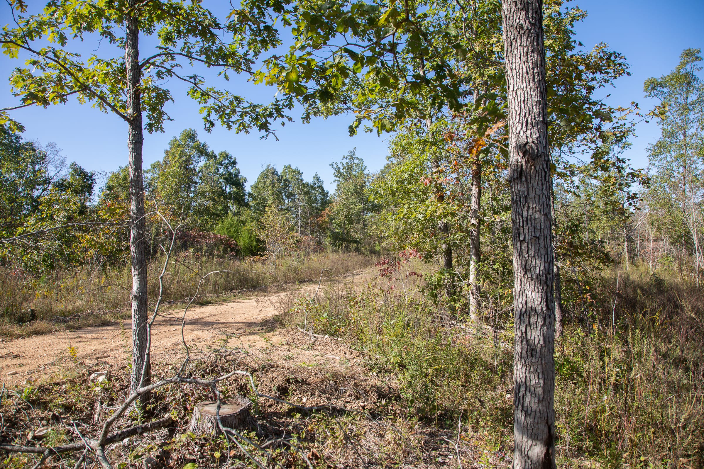 Borgmann’s Hollow Phase IV Tract 111 photo 5