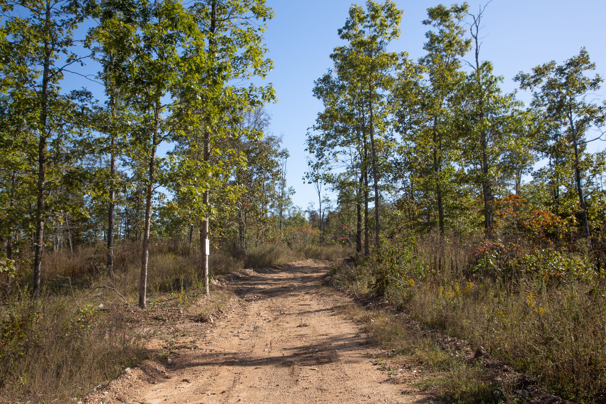 Borgmann’s Hollow Phase IV Tract 111 photo 8