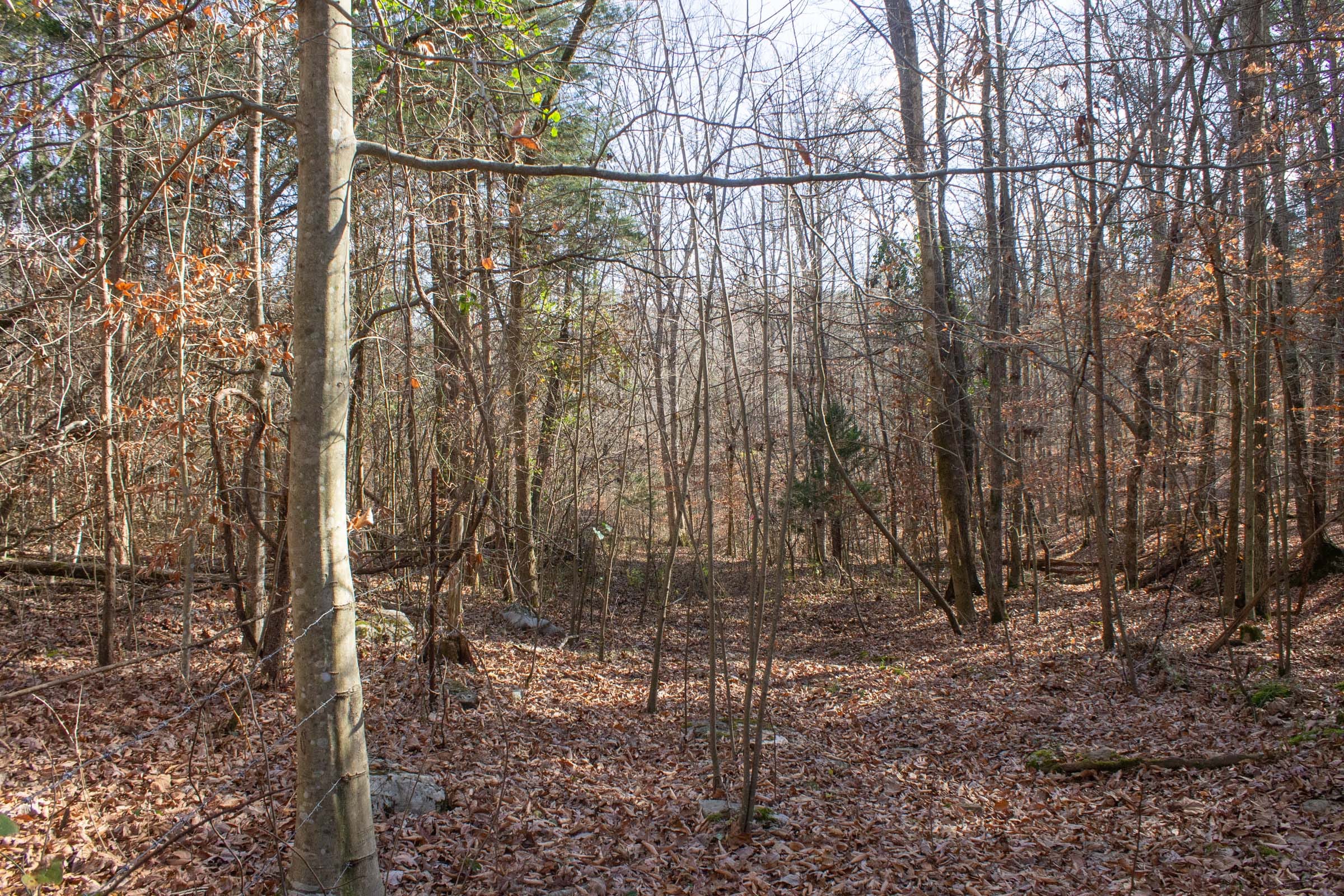 The Cliffs Tract 2 photo 2