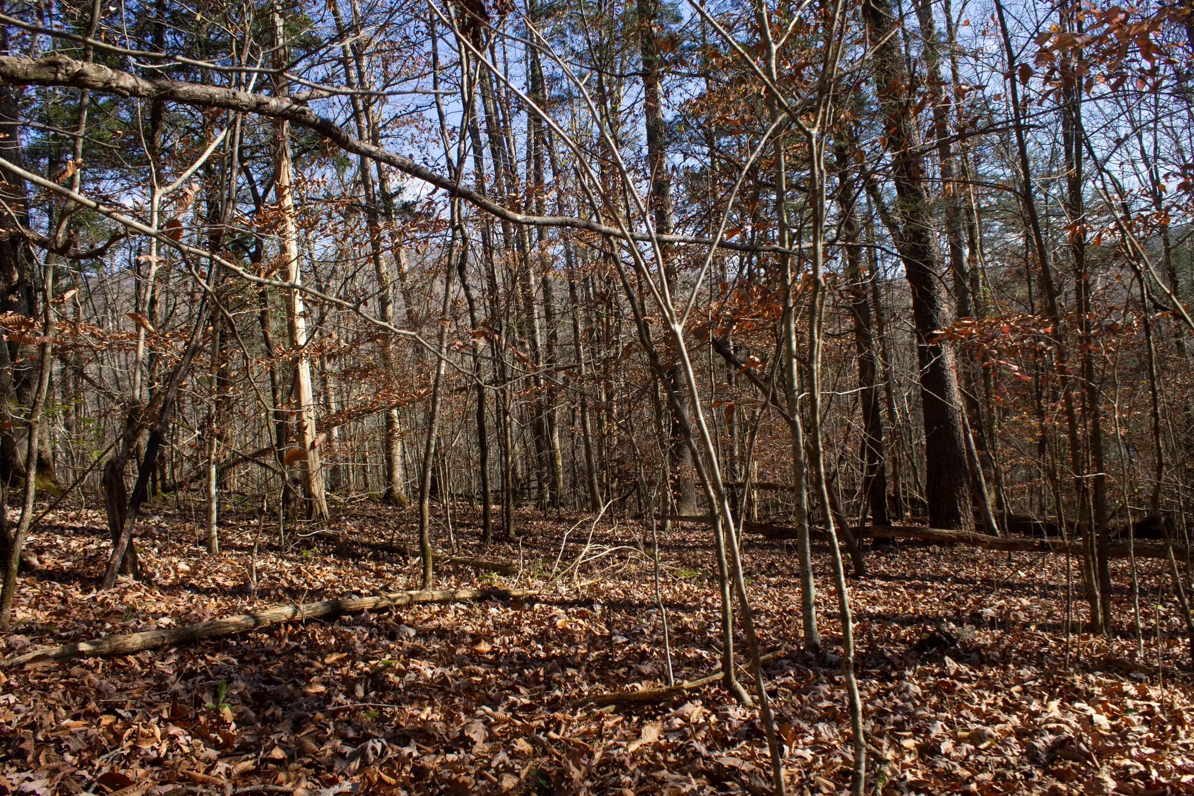 The Cliffs Tract 2 photo 6