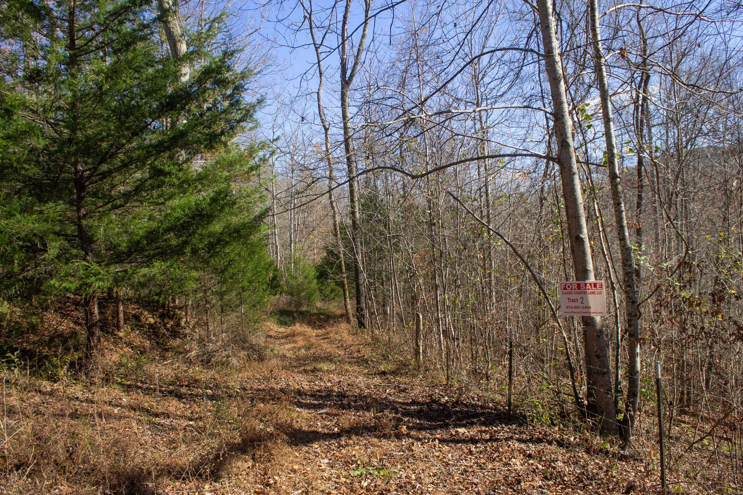 The Cliffs Tract 2 photo 5