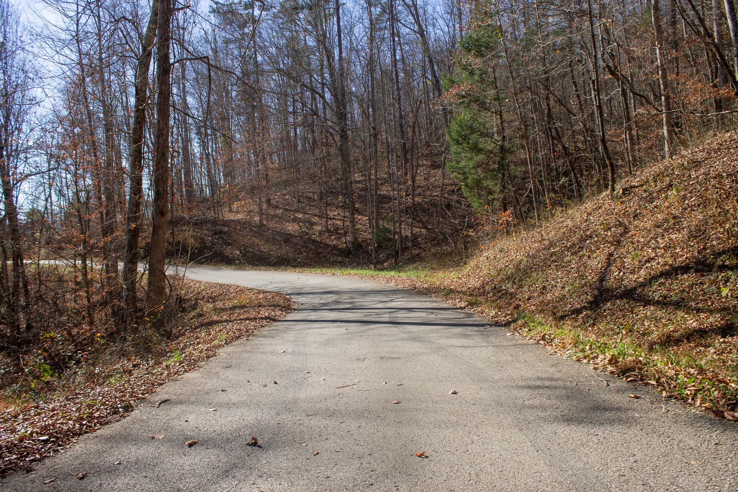 The Cliffs Tract 2 photo 1
