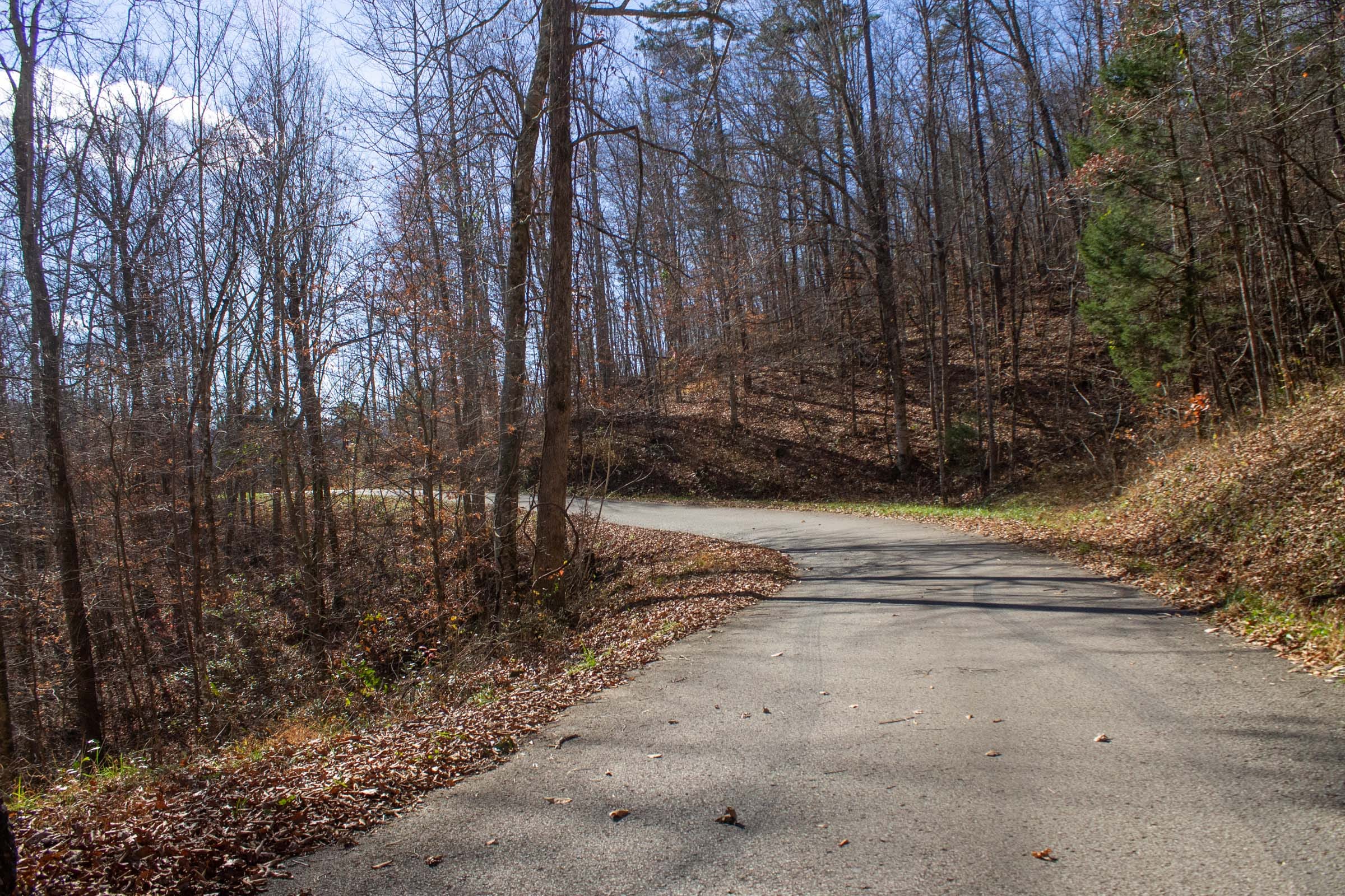 The Cliffs Tract 2 photo 3
